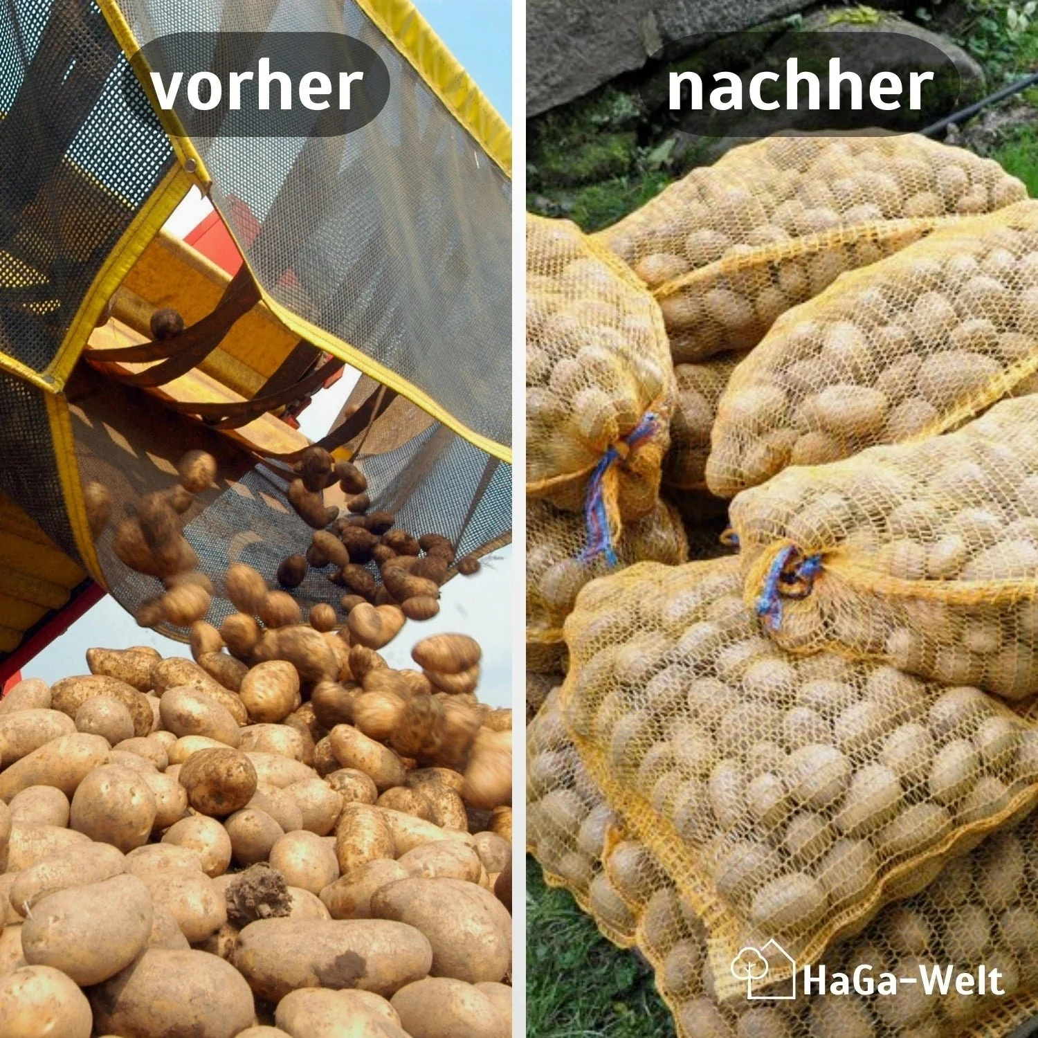 Raschelsäcke, 100 Stück – wahre Allrounder zum Einlagern - Image 3