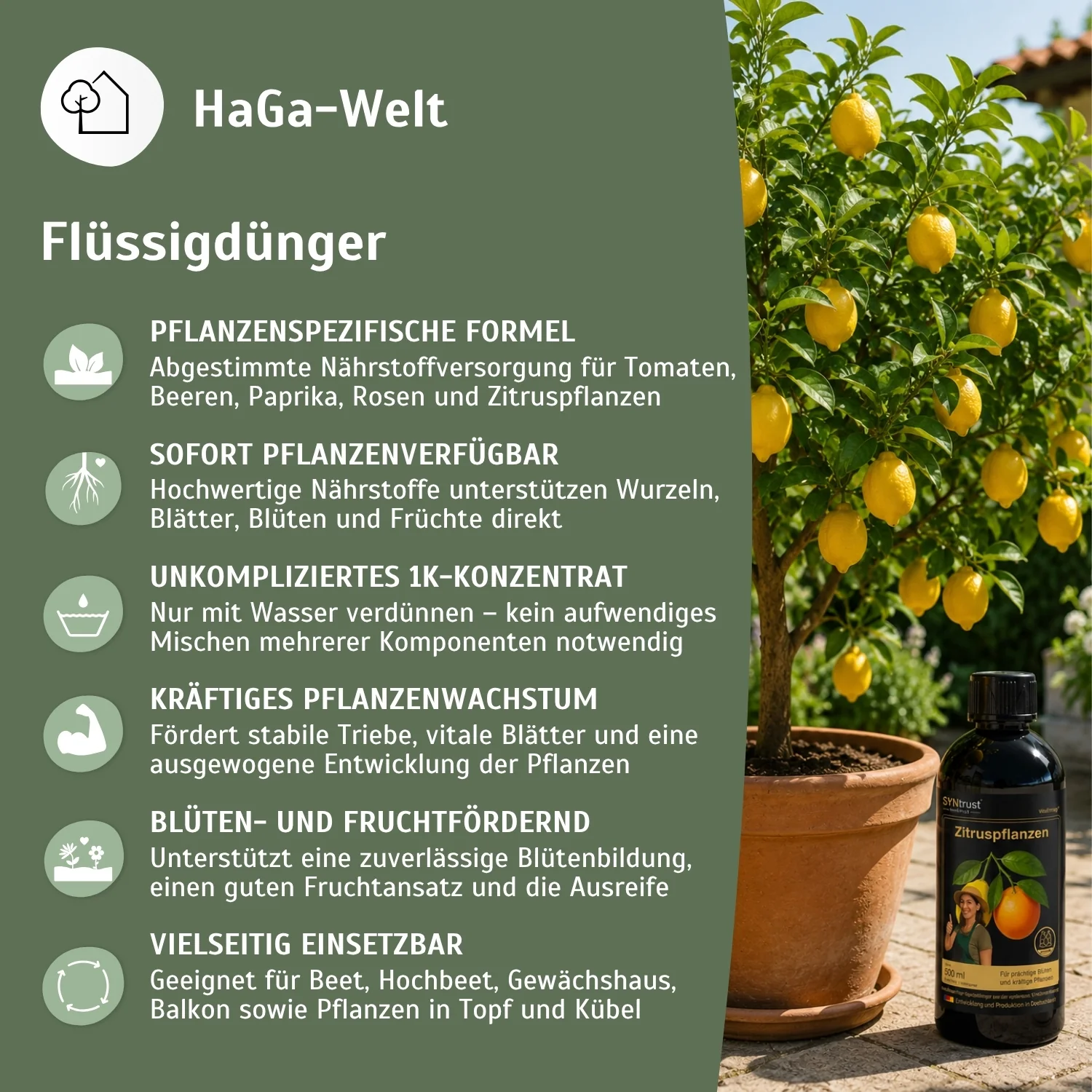 1K Flüssigdünger Konzentrat – Pflanzendünger für Tomaten, Erdbeeren, Beeren, Paprika, Chili, Rosen & Zitrus - Image 4