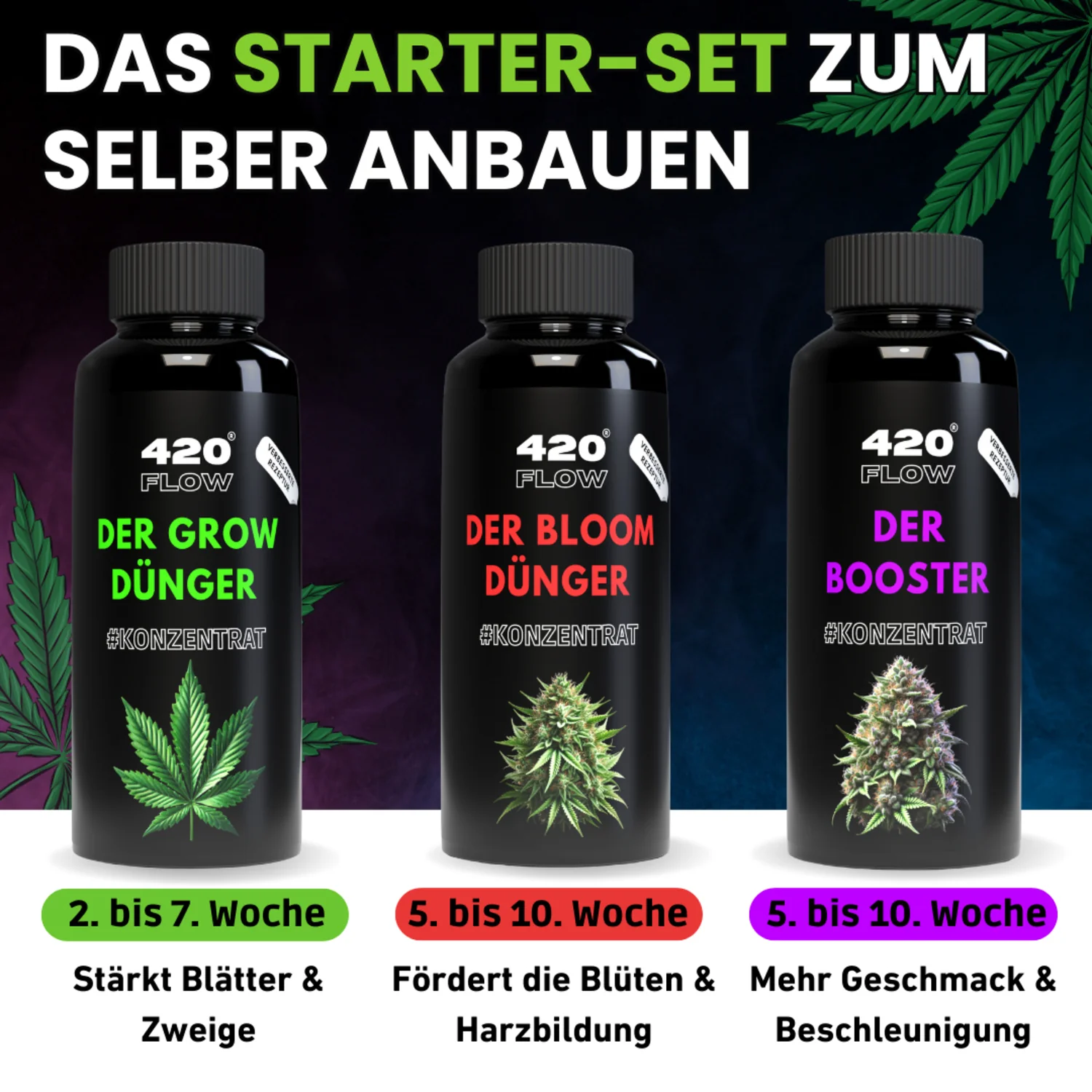 420Flow – Grow Starter Set mit Düngern inkl. 3 Samen Gelato Auto - Image 3
