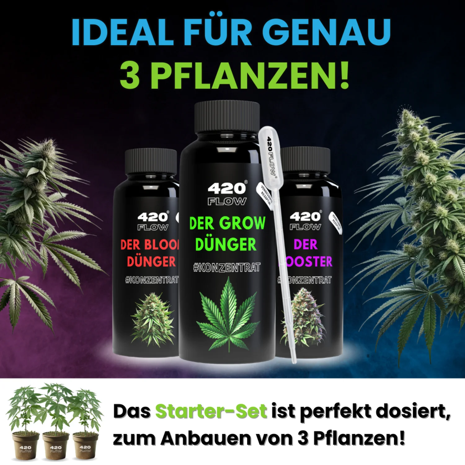 420Flow – Grow Starter Set mit Düngern inkl. 3 Samen Gelato Auto - Image 5