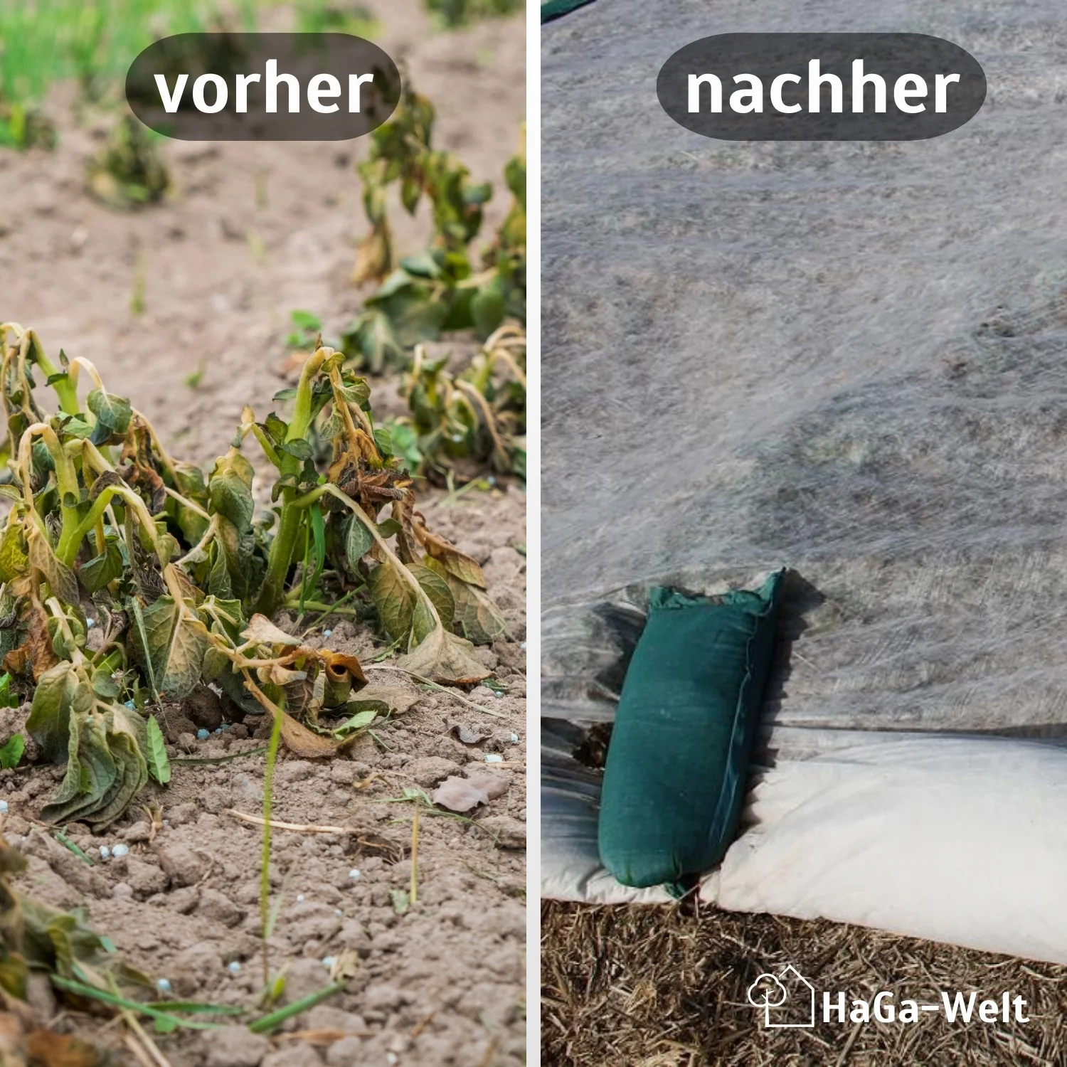 Erntevlies 19 g/m² – effektiver Schutz für Frühbeete - Image 3
