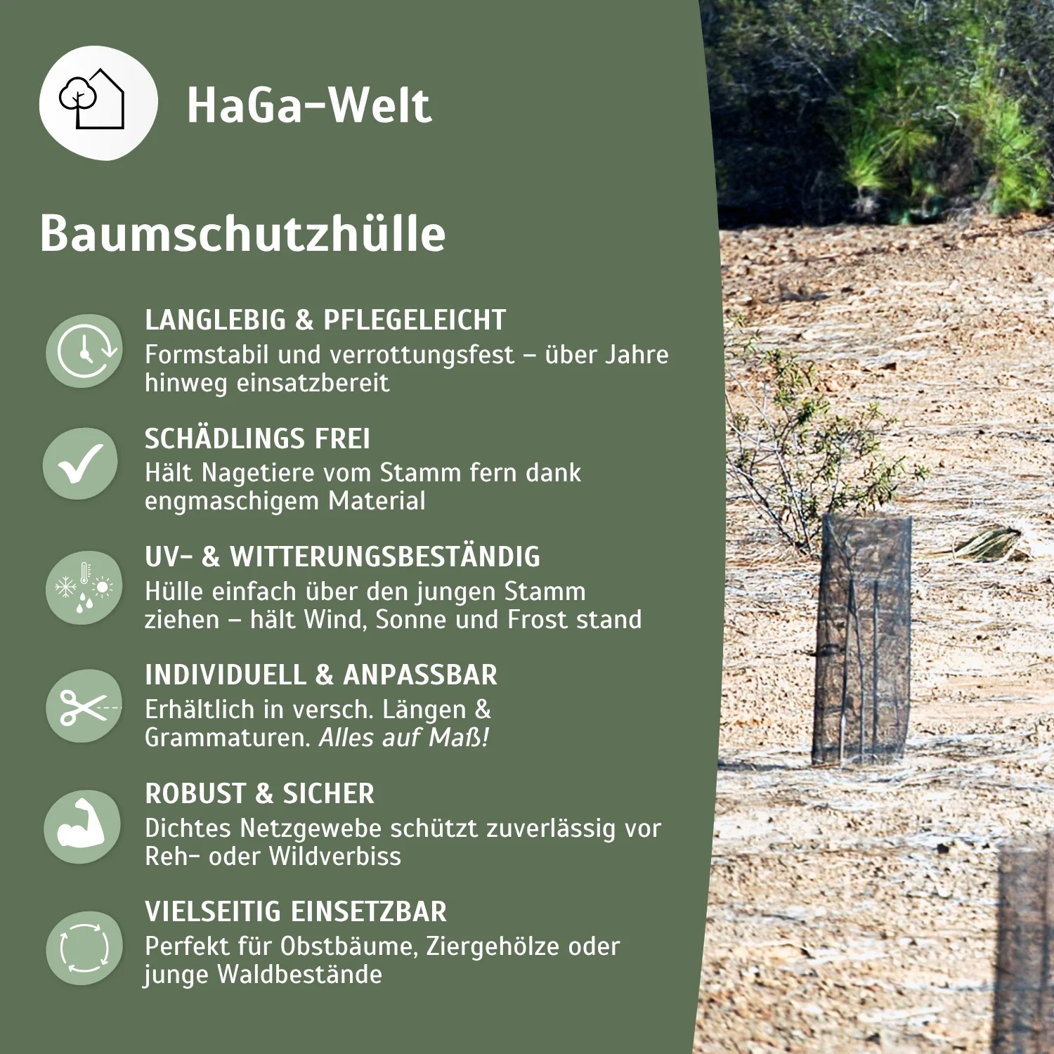 Baumschutzhülle – zuverlässiger Verbissschutz für junge Bäume - Image 4