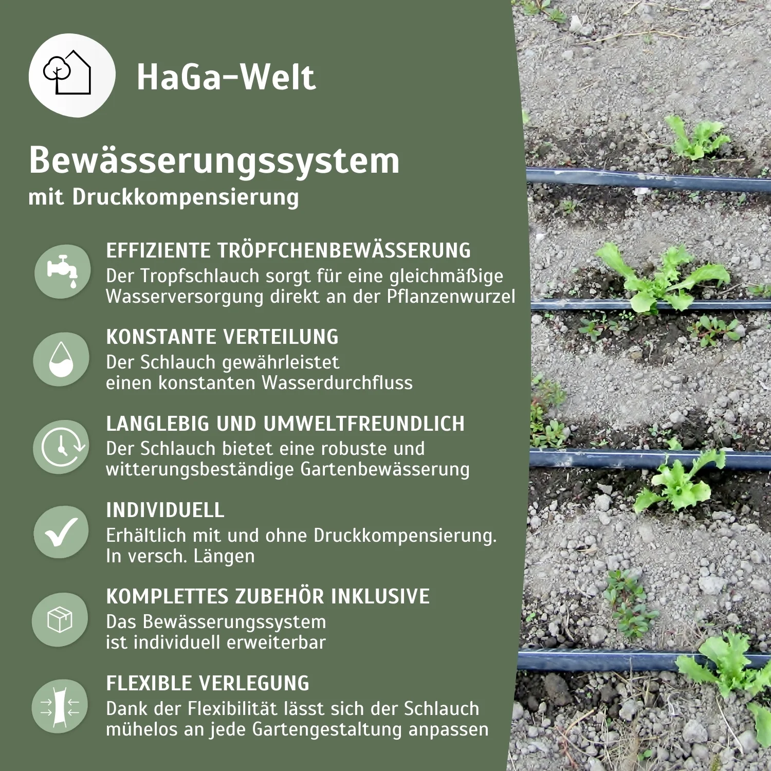Bewässerungssystem mit Tropfschlauch - Image 4