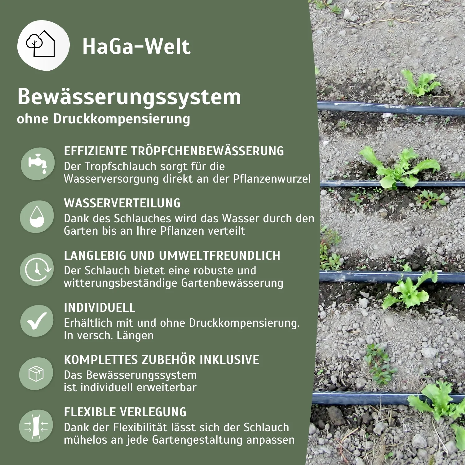 Bewässerungssystem mit Tropfschlauch - Image 6