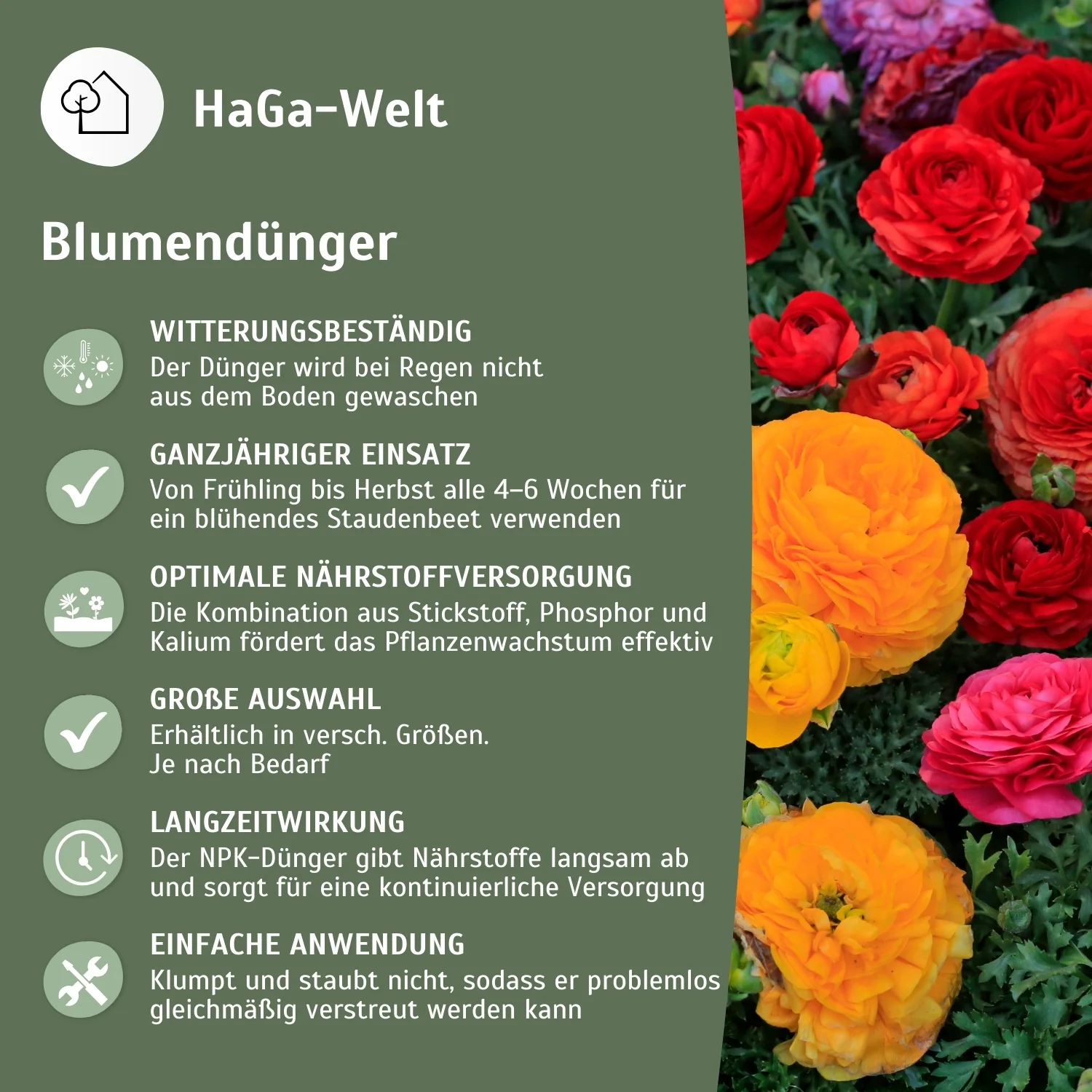 Blumendünger - Dünger für gesunde Blumen - Image 4