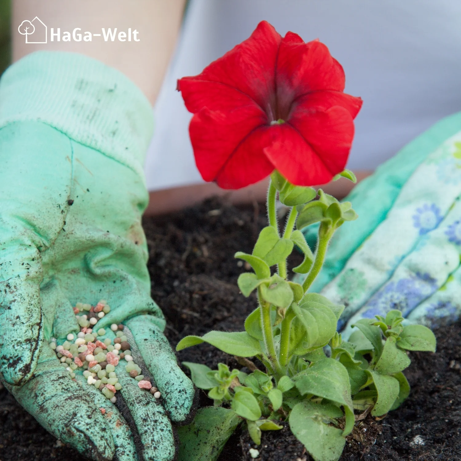 Blumendünger - Dünger für gesunde Blumen - Image 9