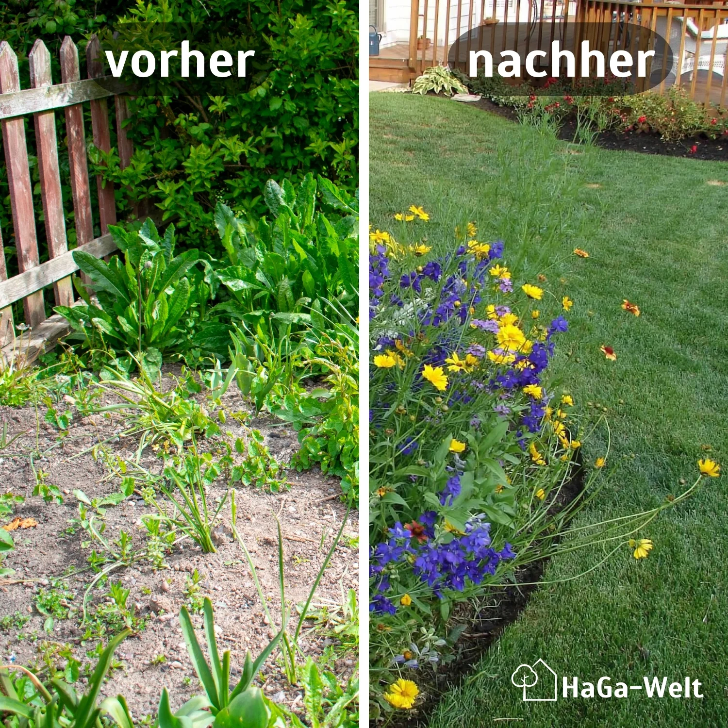 Blumenwiesenmatte – eine Wildblumenwiese für Ihren Garten - Image 3