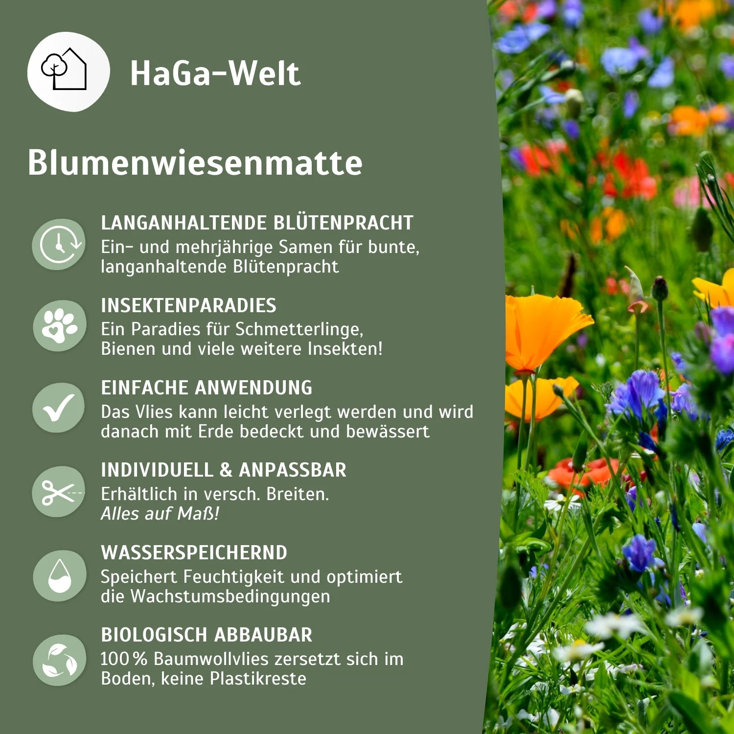 Blumenwiesenmatte – eine Wildblumenwiese für Ihren Garten - Image 4