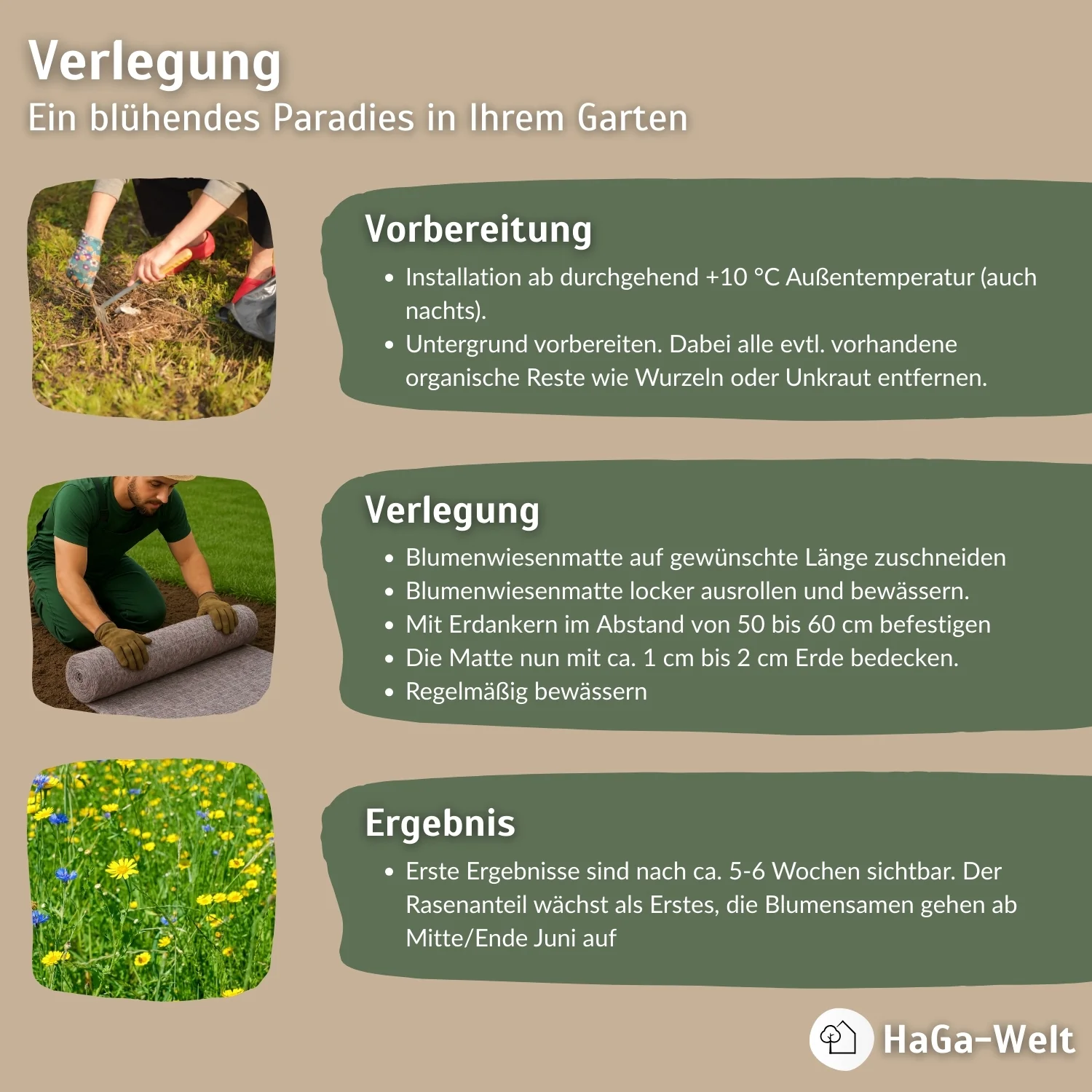 Blumenwiesenmatte – eine Wildblumenwiese für Ihren Garten - Image 7