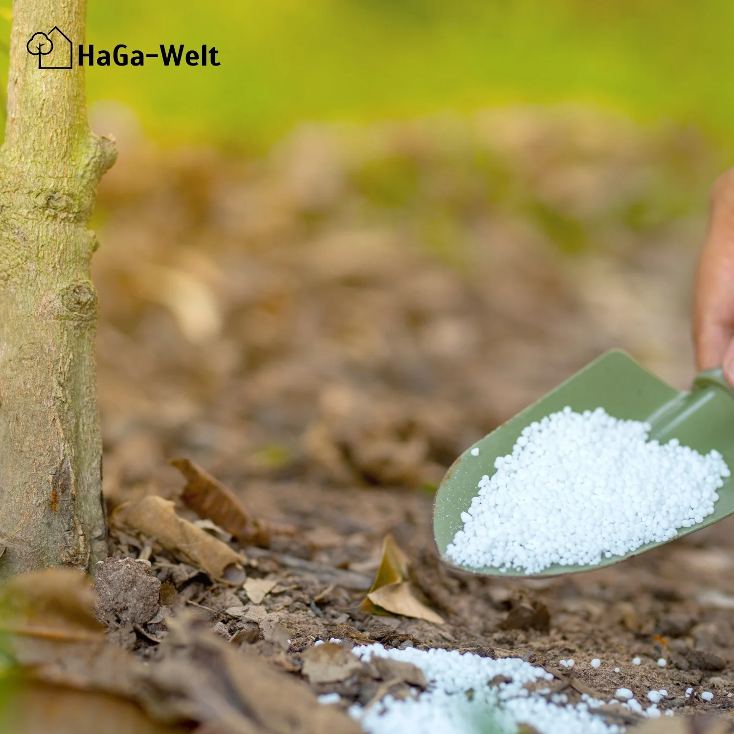 Mineralünger für Nadelbäume - perfekt für Koniferen und Eibenhecken - Image 10