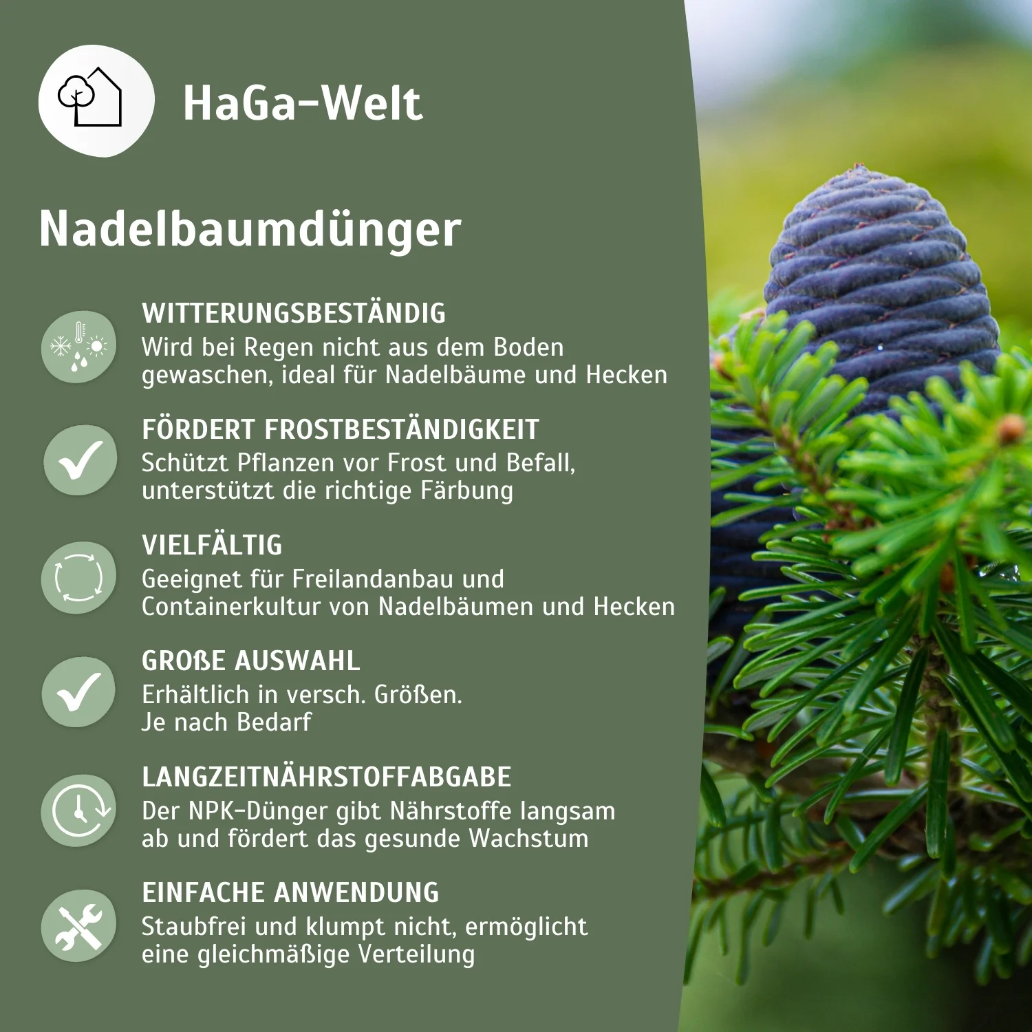 Mineralünger für Nadelbäume - perfekt für Koniferen und Eibenhecken - Image 4