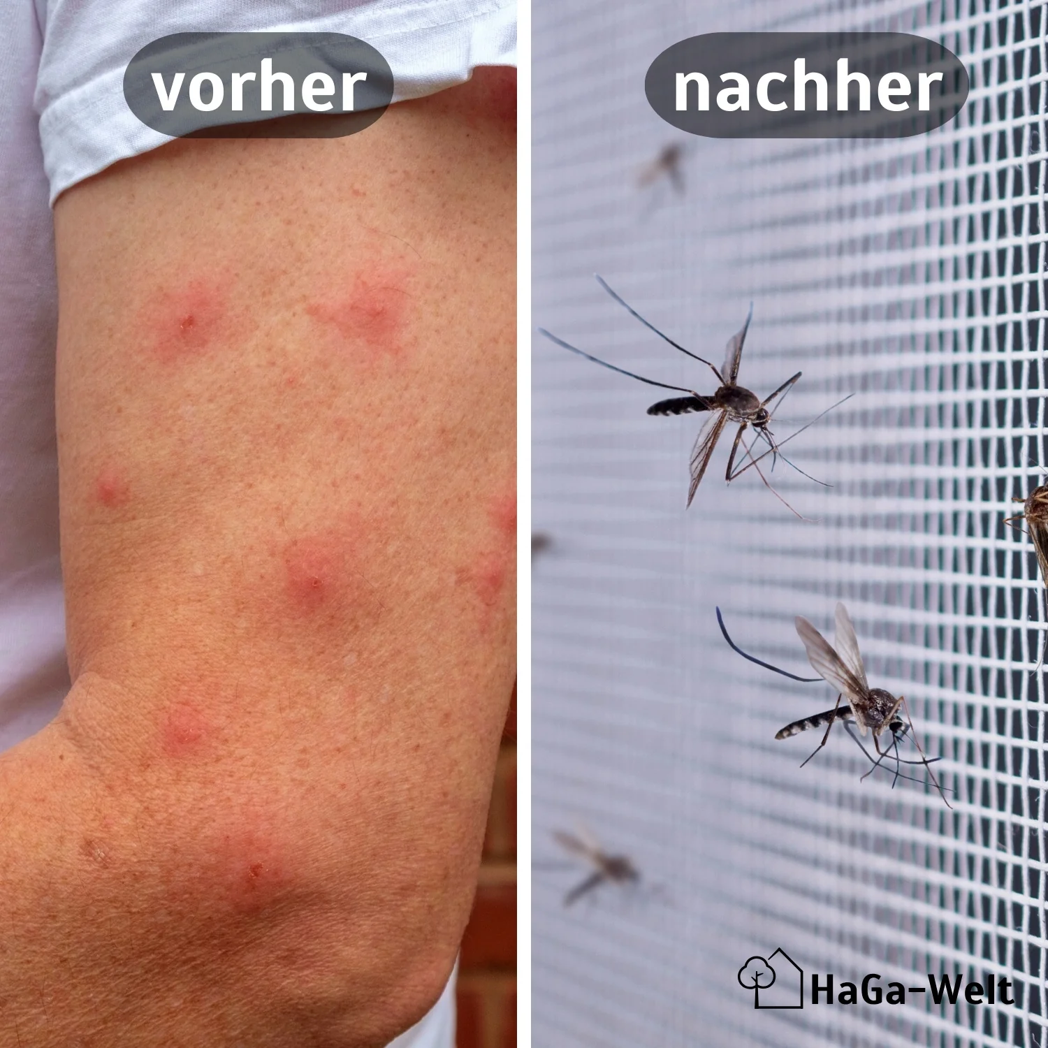 Fliegengitter Meterware – perfekter Insektenschutz für Ihr Zuhause - Image 3