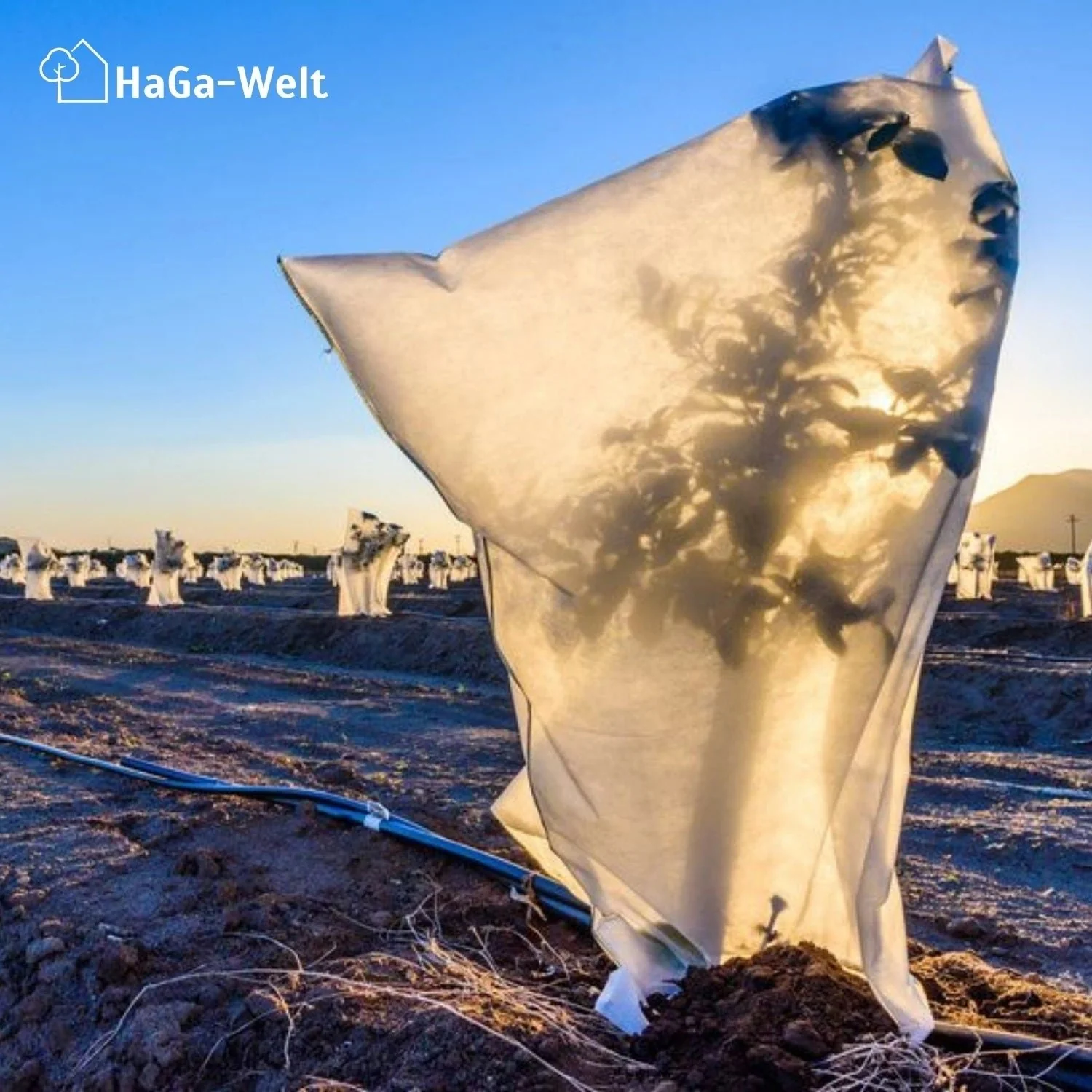 Frostschutzhaube, 80g/m² – starker Winterschutz für Pflanzen - Image 10