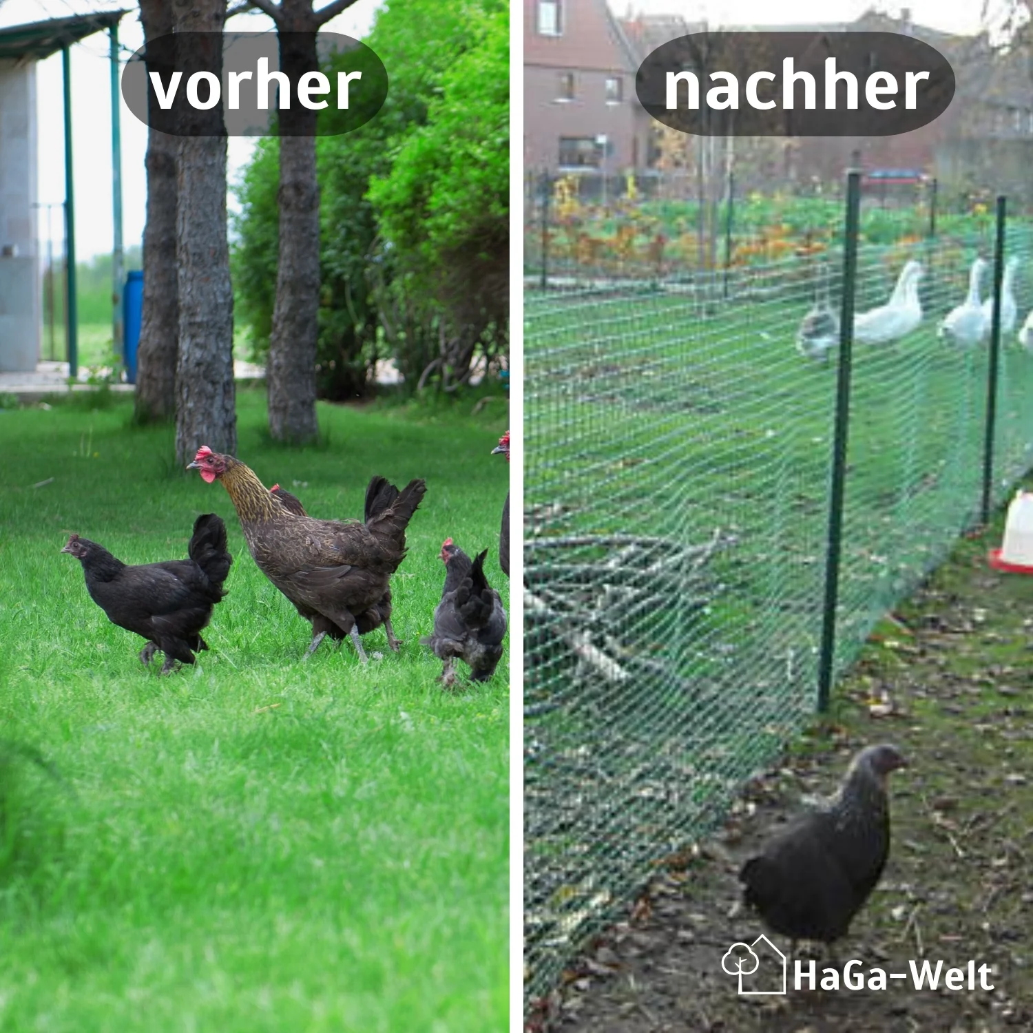 Gartenzaun – vielfältiger Kunststoffzaun für Ihren Garten - Image 3