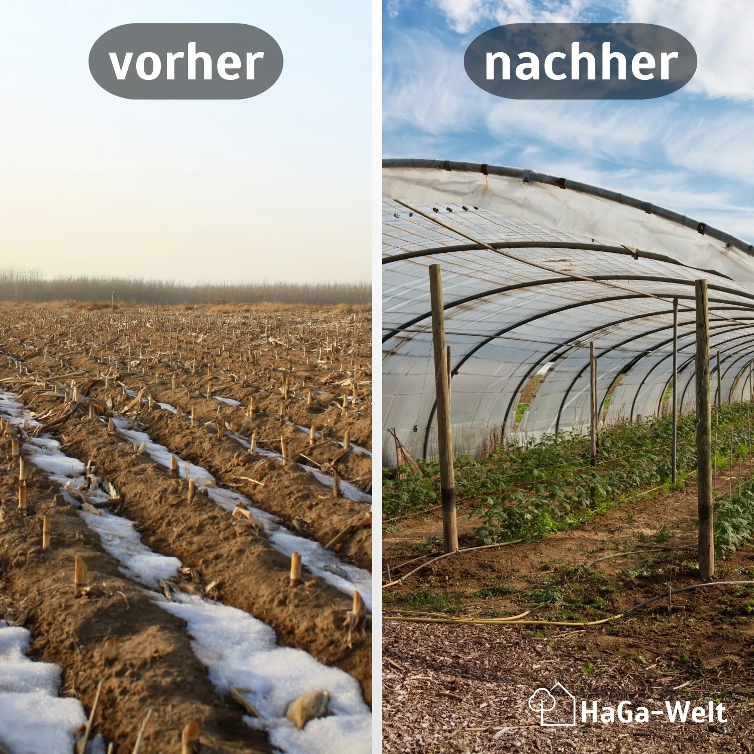 Gitterfolie – verstärkte Folie für Gewächshausbau - Image 3