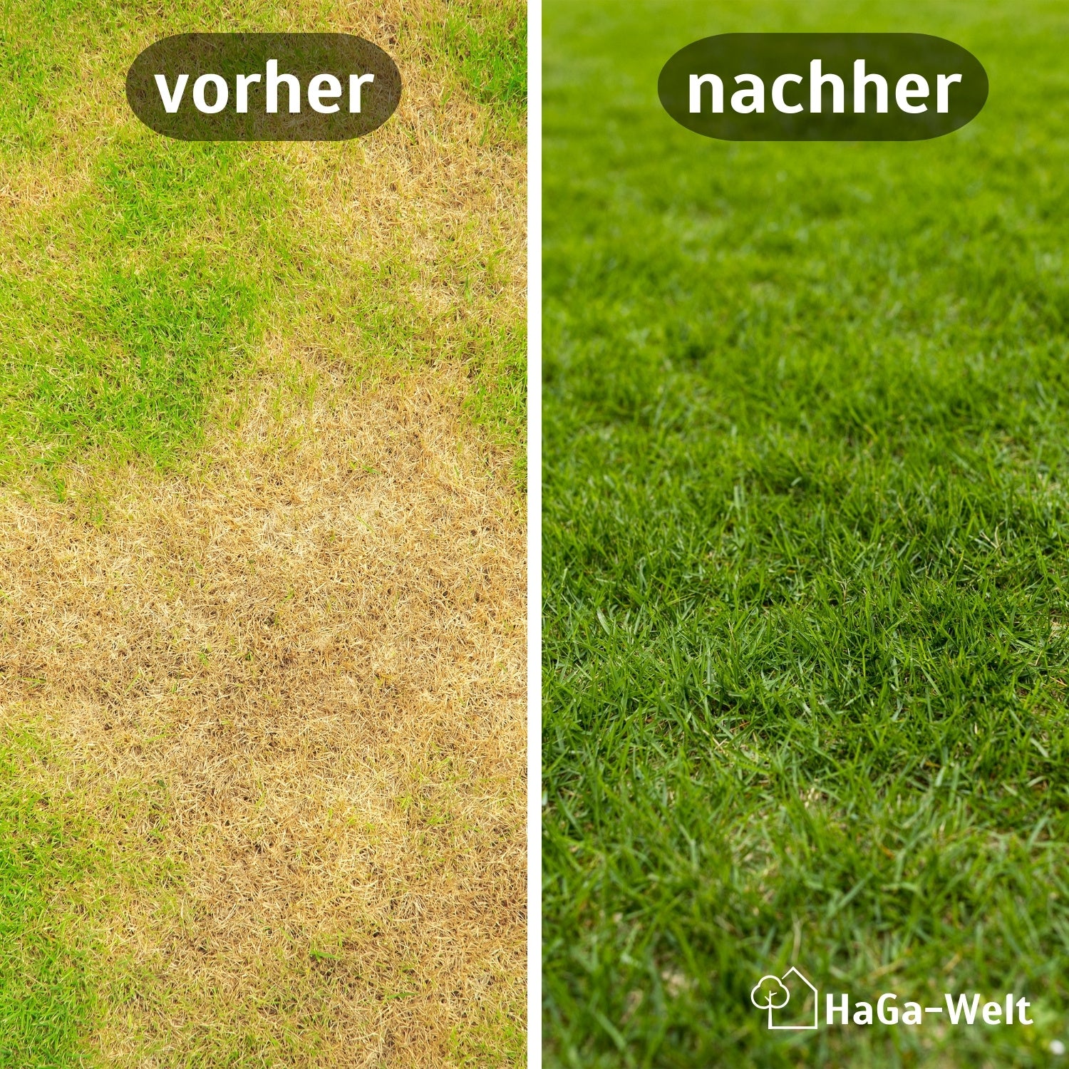 Rasendünger Herbst - für ein sattes Grün im Herbst - Image 3