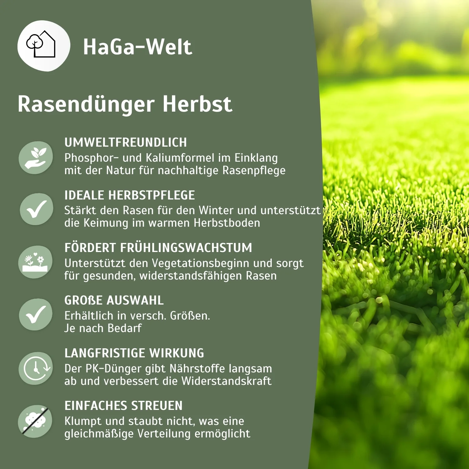 Rasendünger Herbst - für ein sattes Grün im Herbst - Image 4