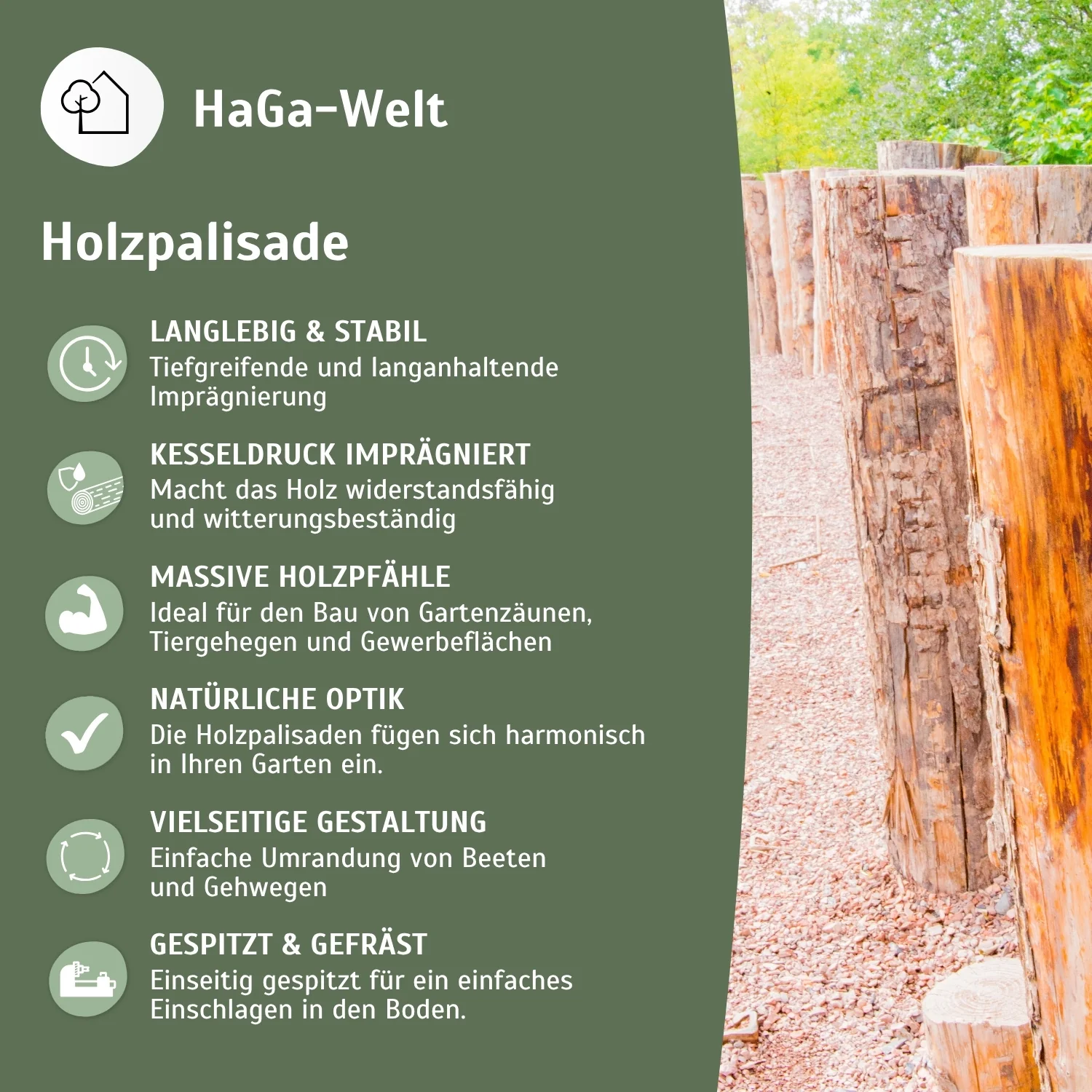Holzpalisade – widerstandsfähige Palisade für die Gartengestaltung - Image 4