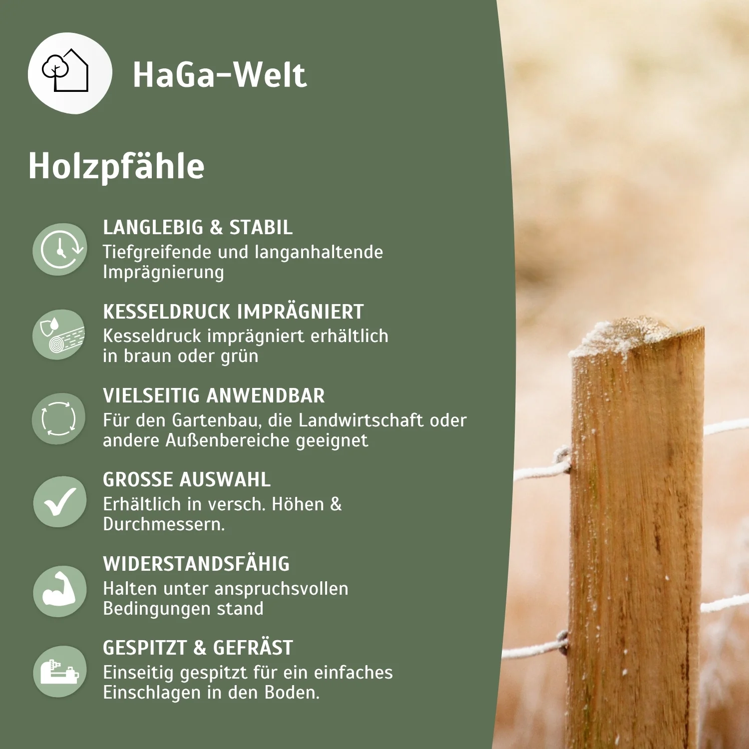 Holzpfahl, KDI braun – widerstandsfähiger Zaunpfahl für Ihren Zaun - Image 4