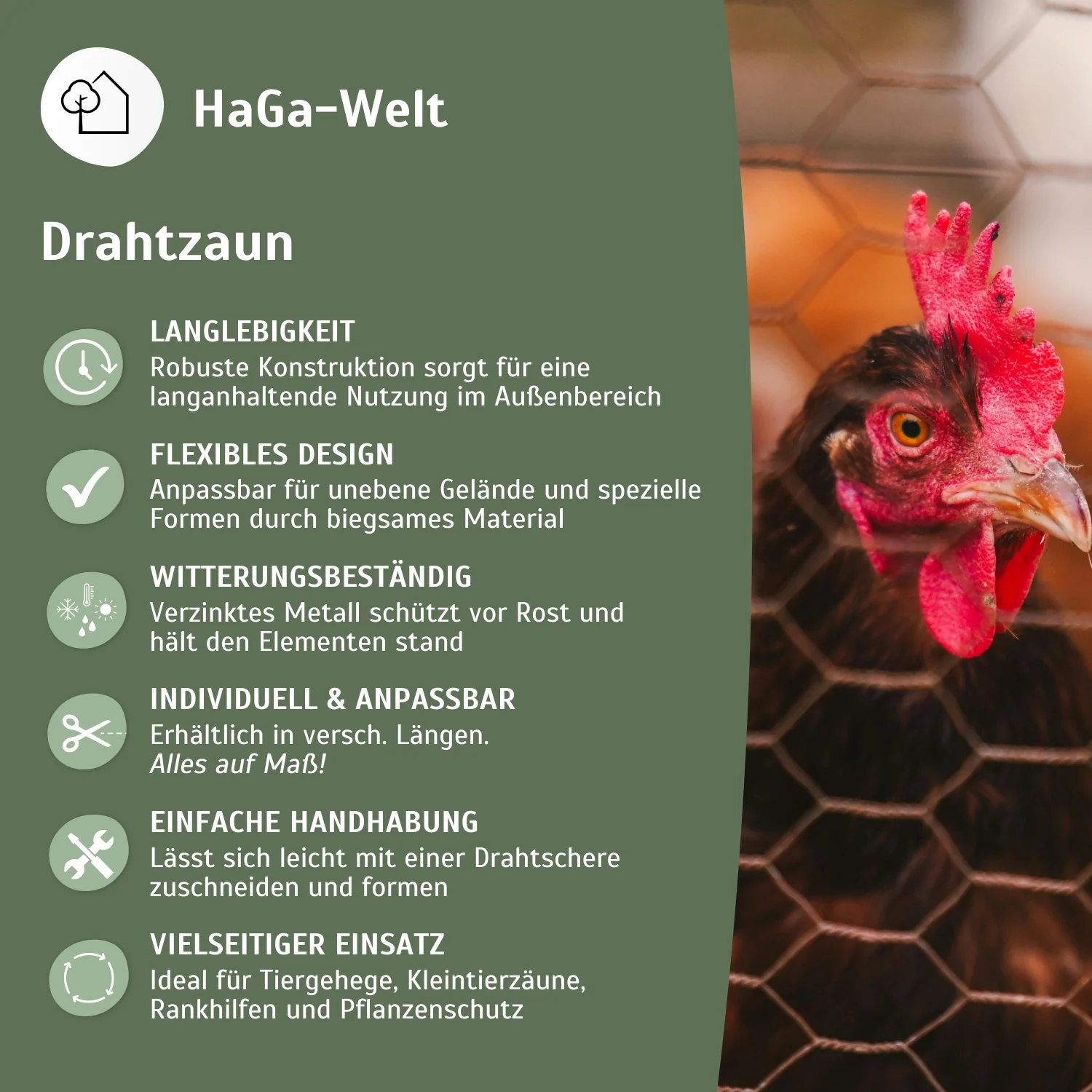 Drahtzaun aus verzinktem Metall 30mmx30mm - Image 4