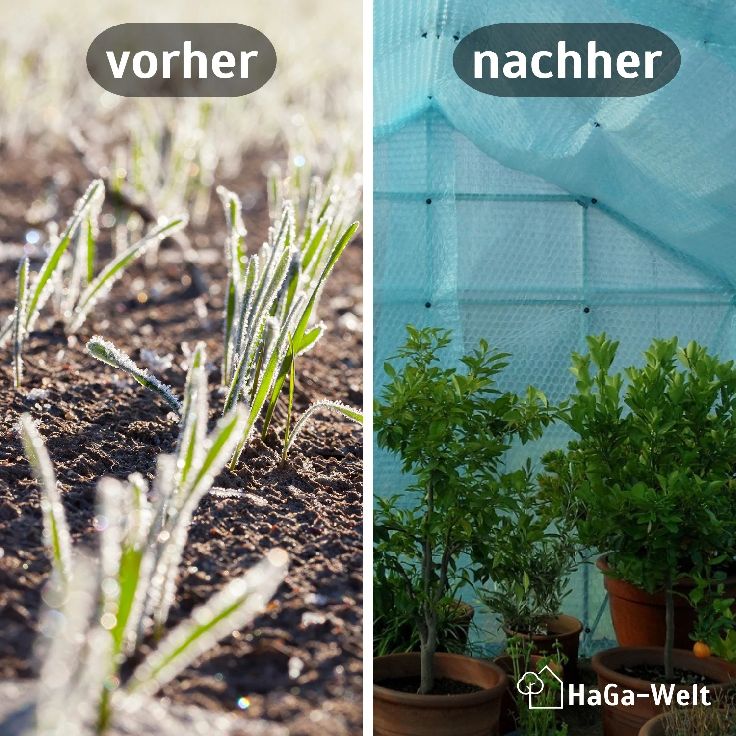 Isolierfolie, 1,5m Breite 3-lagig (Meterware) – effektiver Frostschutz für Gewächshäuser - Image 3