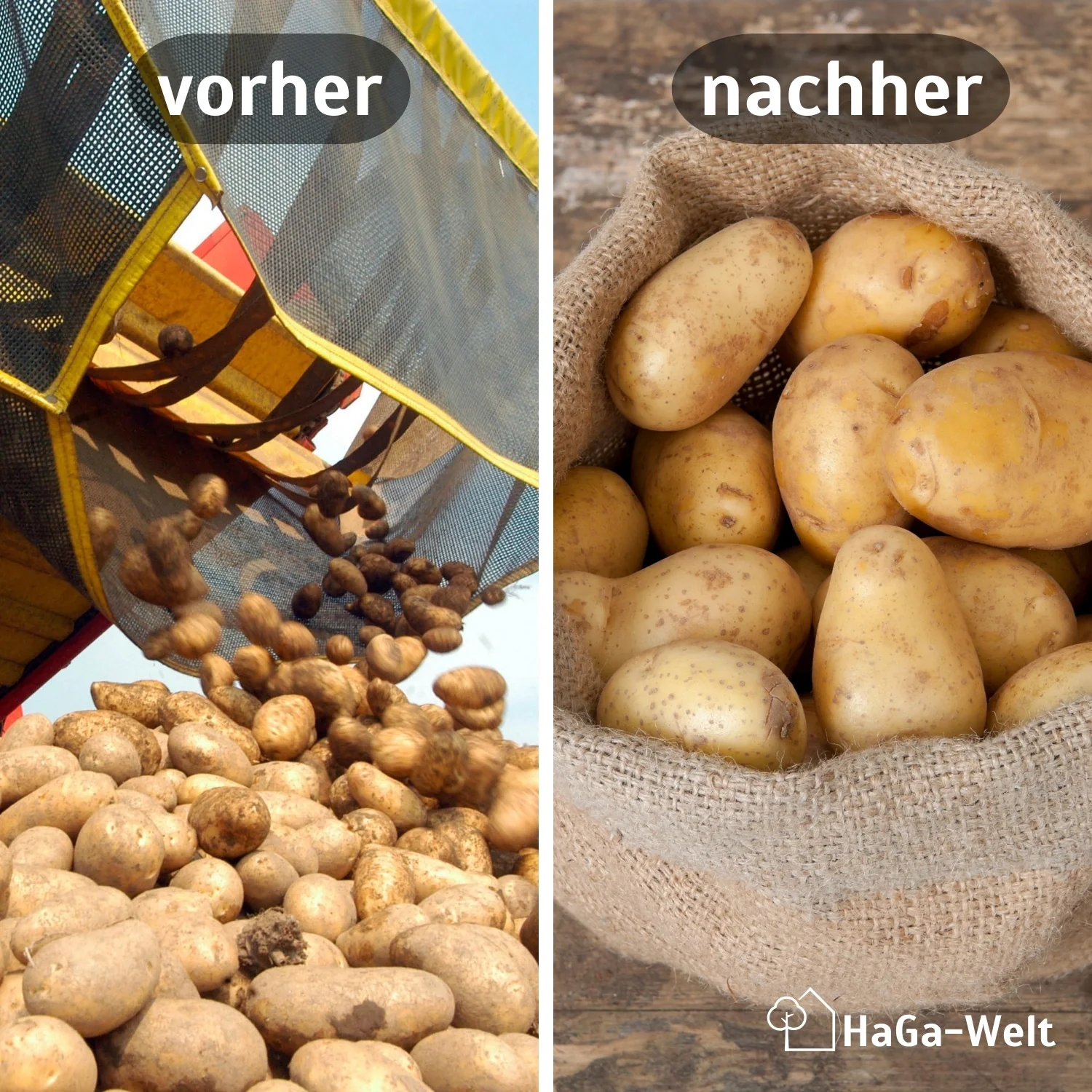 Jutesack – vielseitig einsetzbar für Lagerung und Dekoration - Image 3