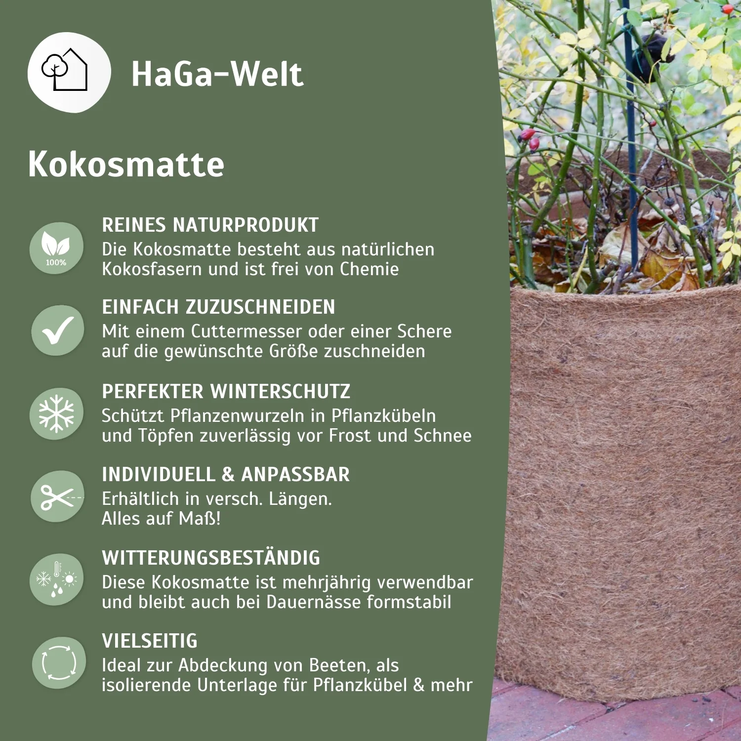 Kokosmatte 800g/m² – natürlicher Schutz vor Kälte - Image 4