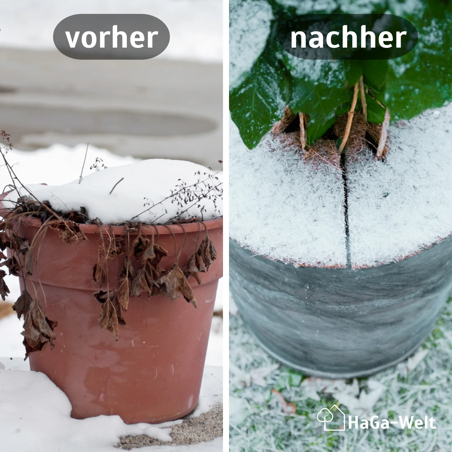 Kokosscheibe Kübelabdeckung Winterschutz für Topfpflanzen versch. Größen - Image 3