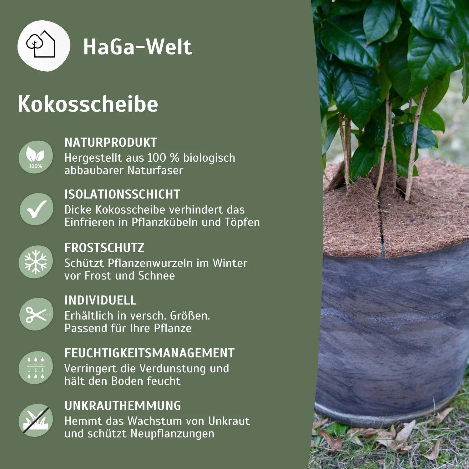 Kokosscheibe Kübelabdeckung Winterschutz für Topfpflanzen versch. Größen - Image 4