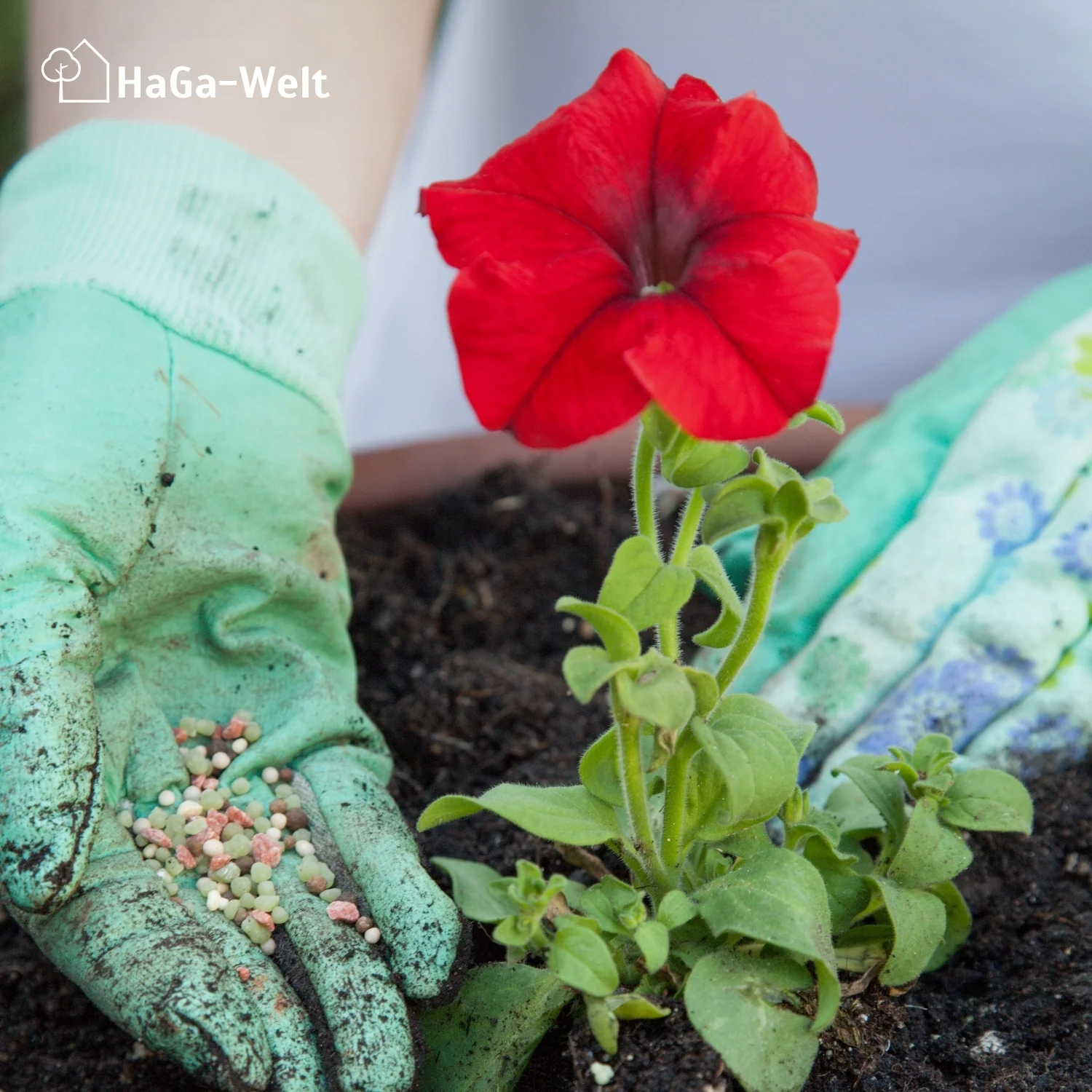 Langzeit Blumendünger - Mineraldünger für Blumen und Pflanzen - Image 10