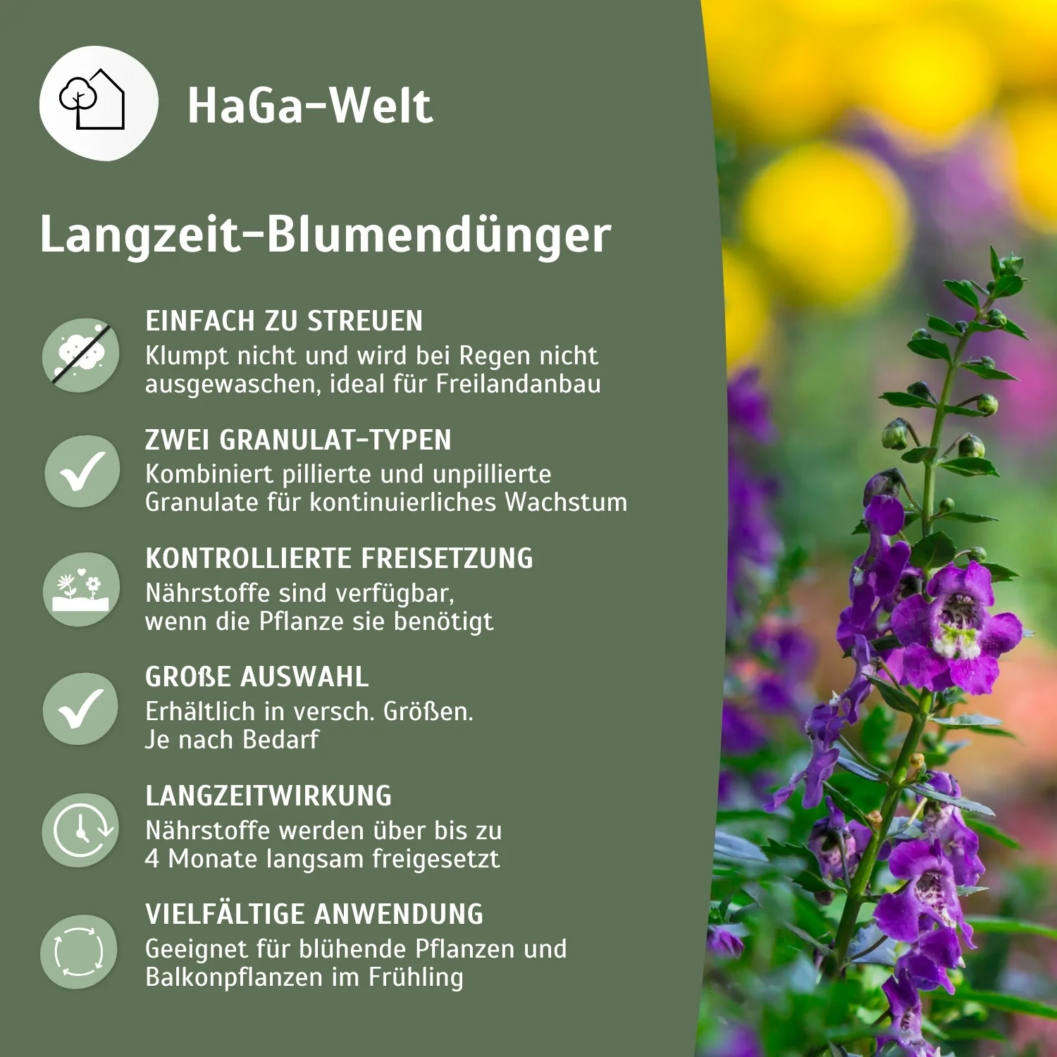 Langzeit Blumendünger - Mineraldünger für Blumen und Pflanzen - Image 4