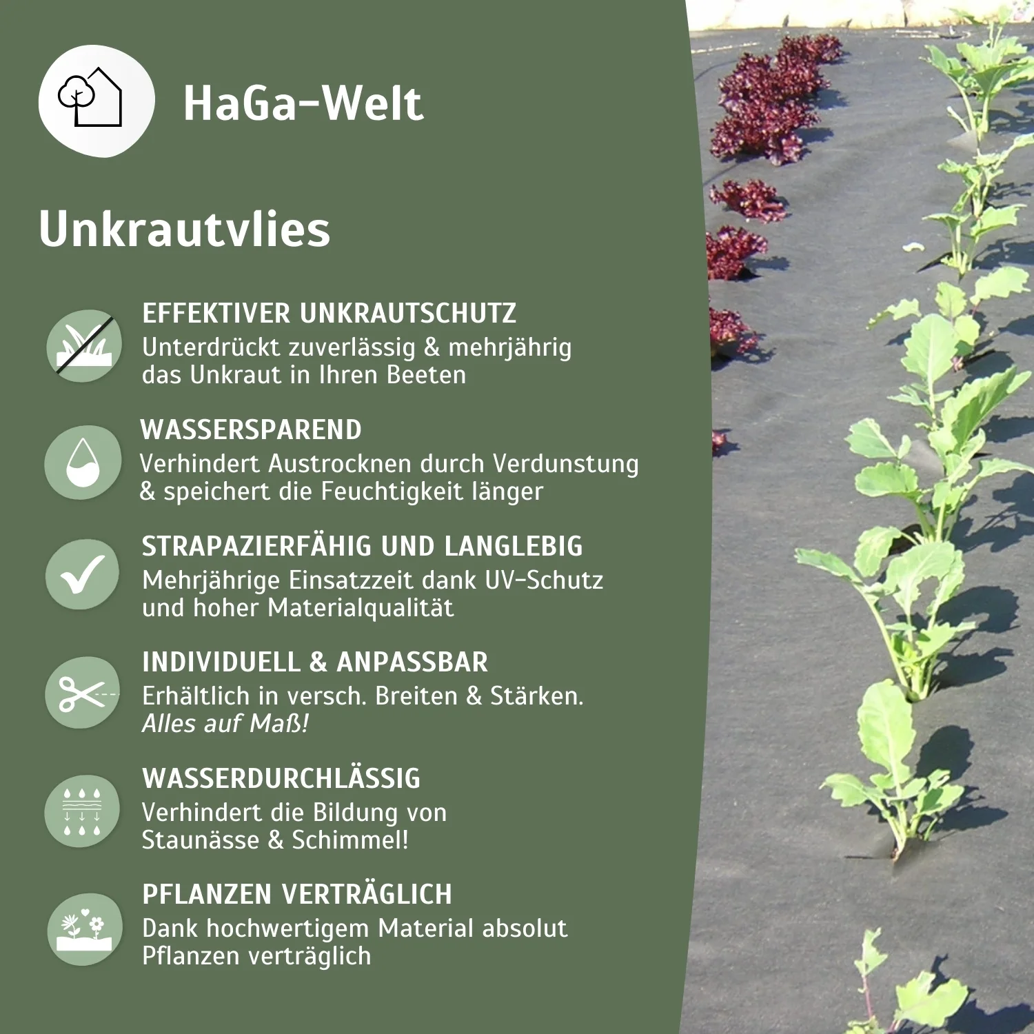 Gartenvlies 50 g/m² – Unkrautschutz für Ihr Gemüsebeet - Image 4