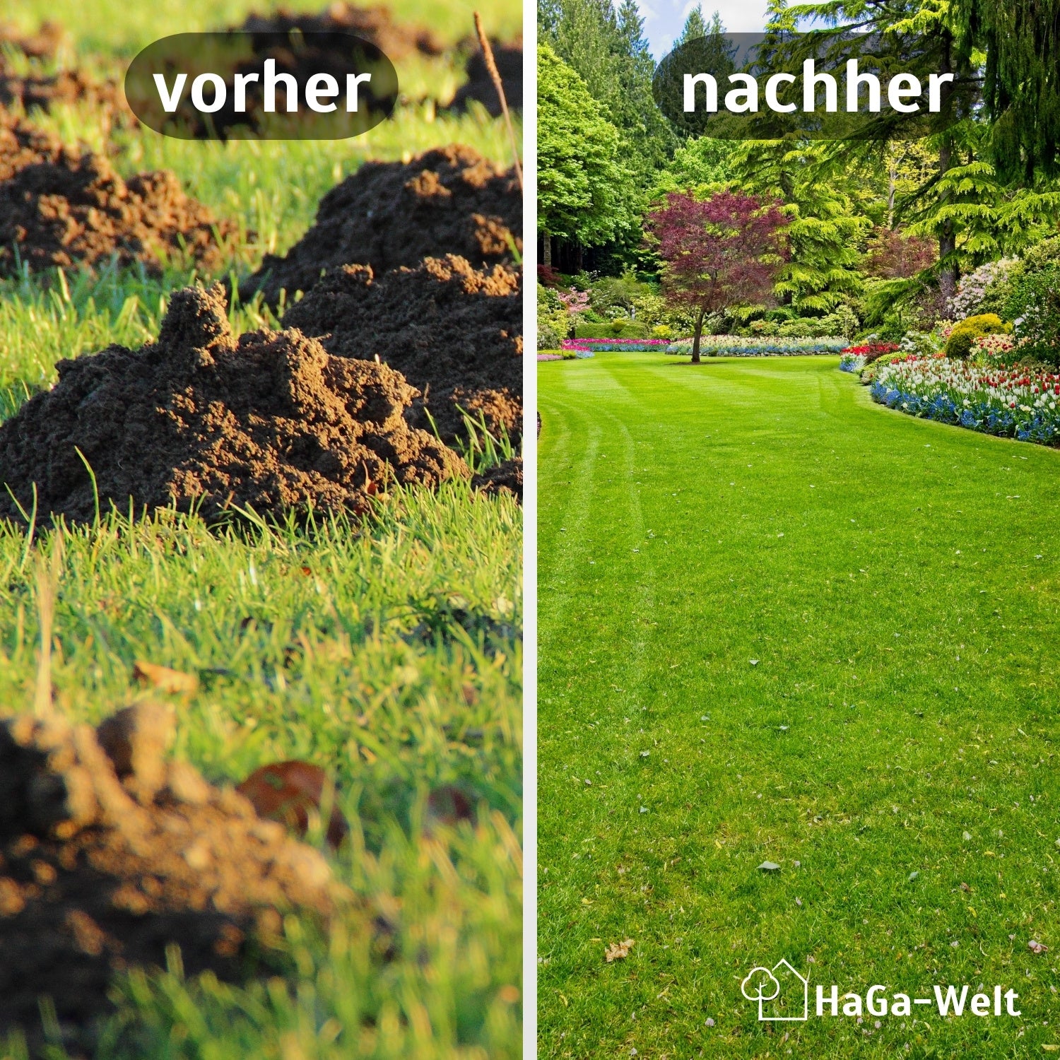 Maulwurfnetz – effektiver Schutz gegen Maulwürfe - Image 3