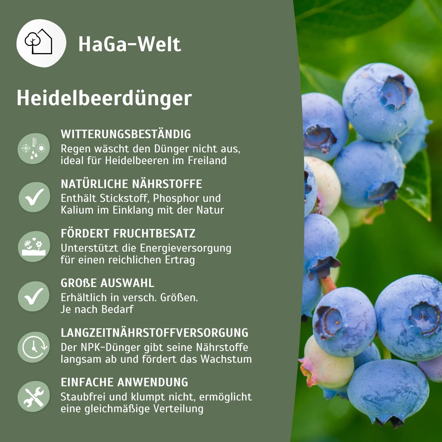 Heidelbeerdünger - Mineraldünger für Heidelbeeren - Image 4