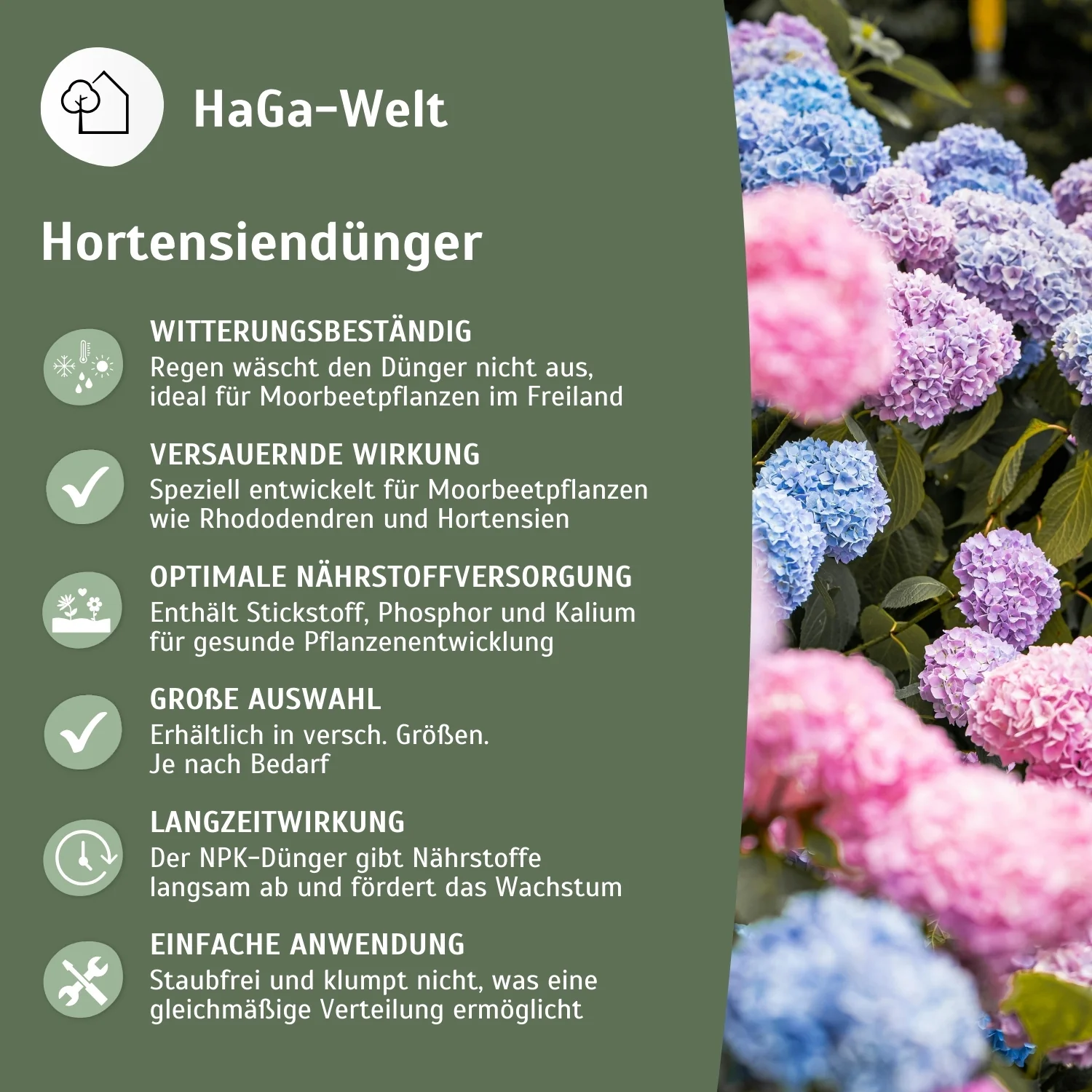 Hortensiendünger – Mineraldünger für Hortensien, Rhododendron & Azaleen - Image 4