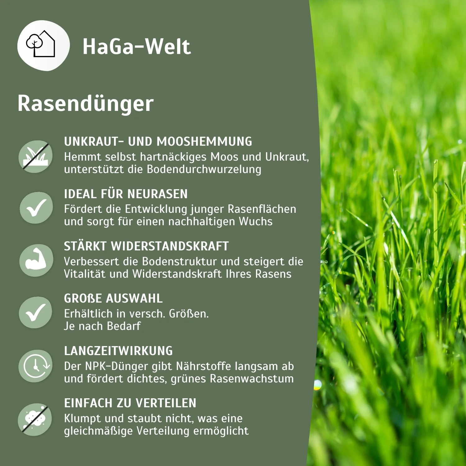 Rasendünger für widerstandfähigen Rasen - Image 4