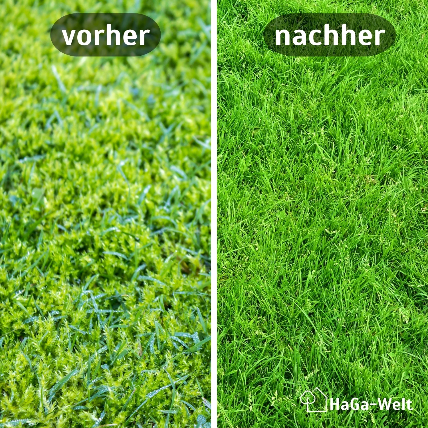 Rasendünger Moos-Stop gegen Unkraut und Moos - Image 3