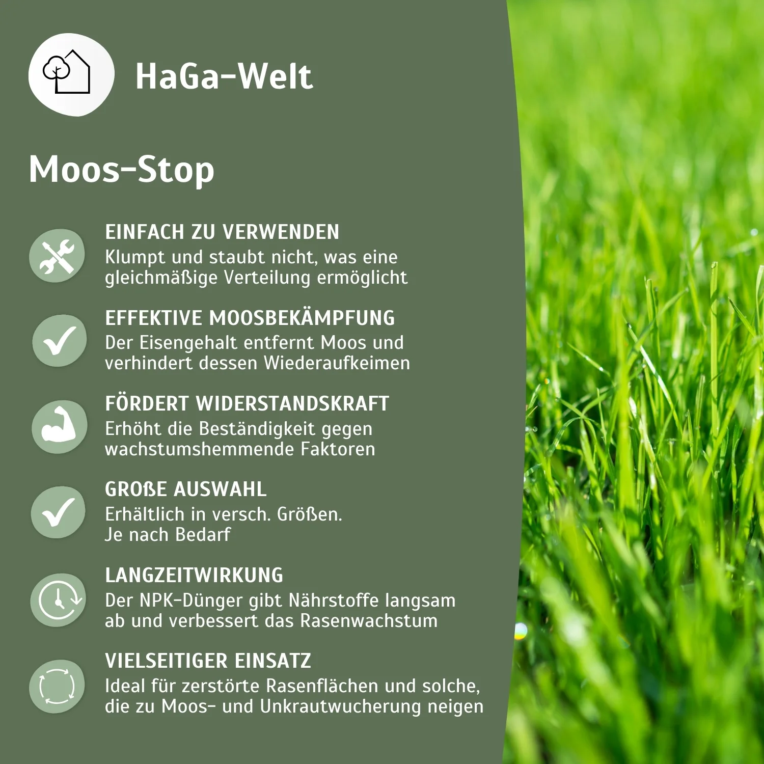 Rasendünger Moos-Stop gegen Unkraut und Moos - Image 4