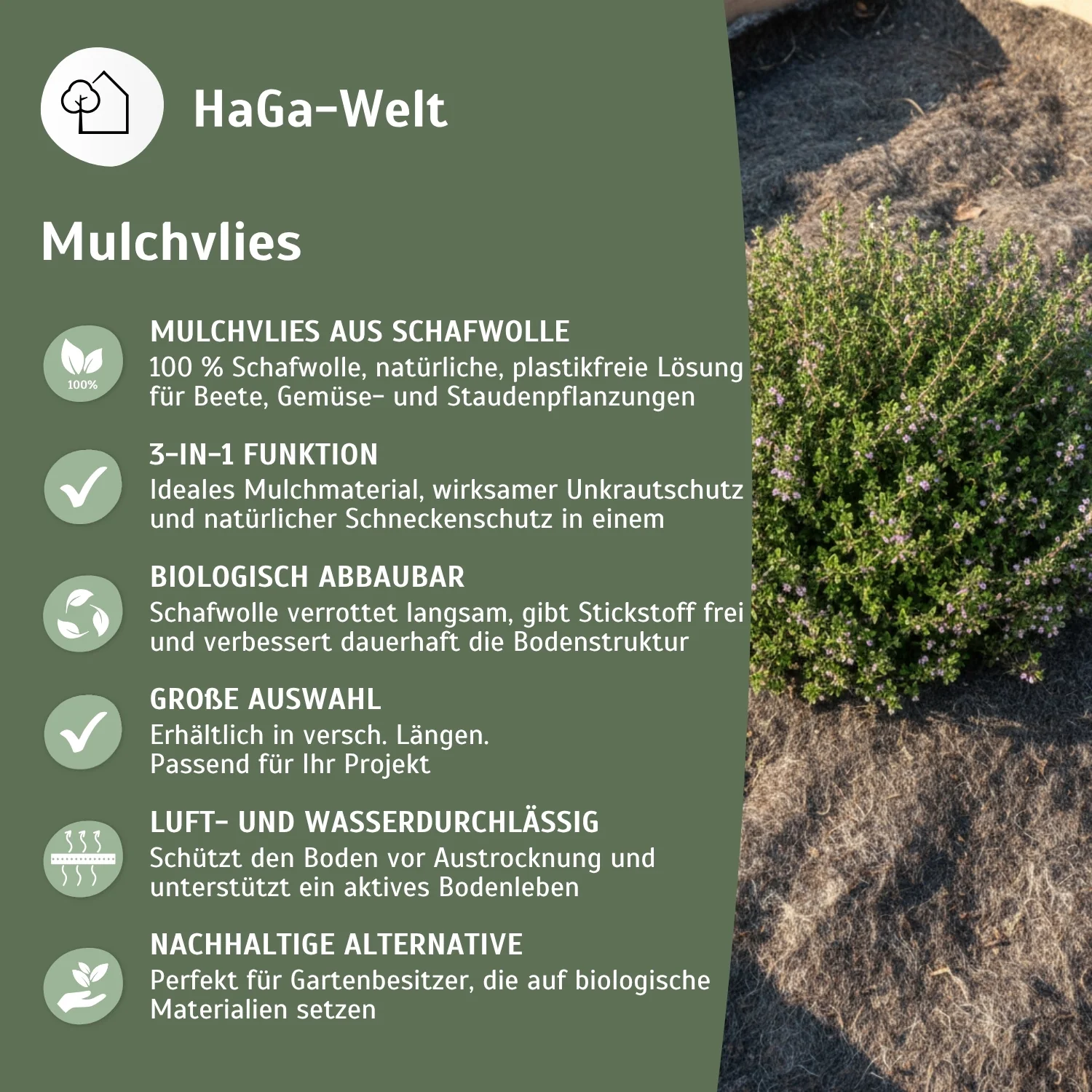 Mulchvlies aus Schafwolle – aus 100 % Schafwolle, biologisch abbaubar - Image 5