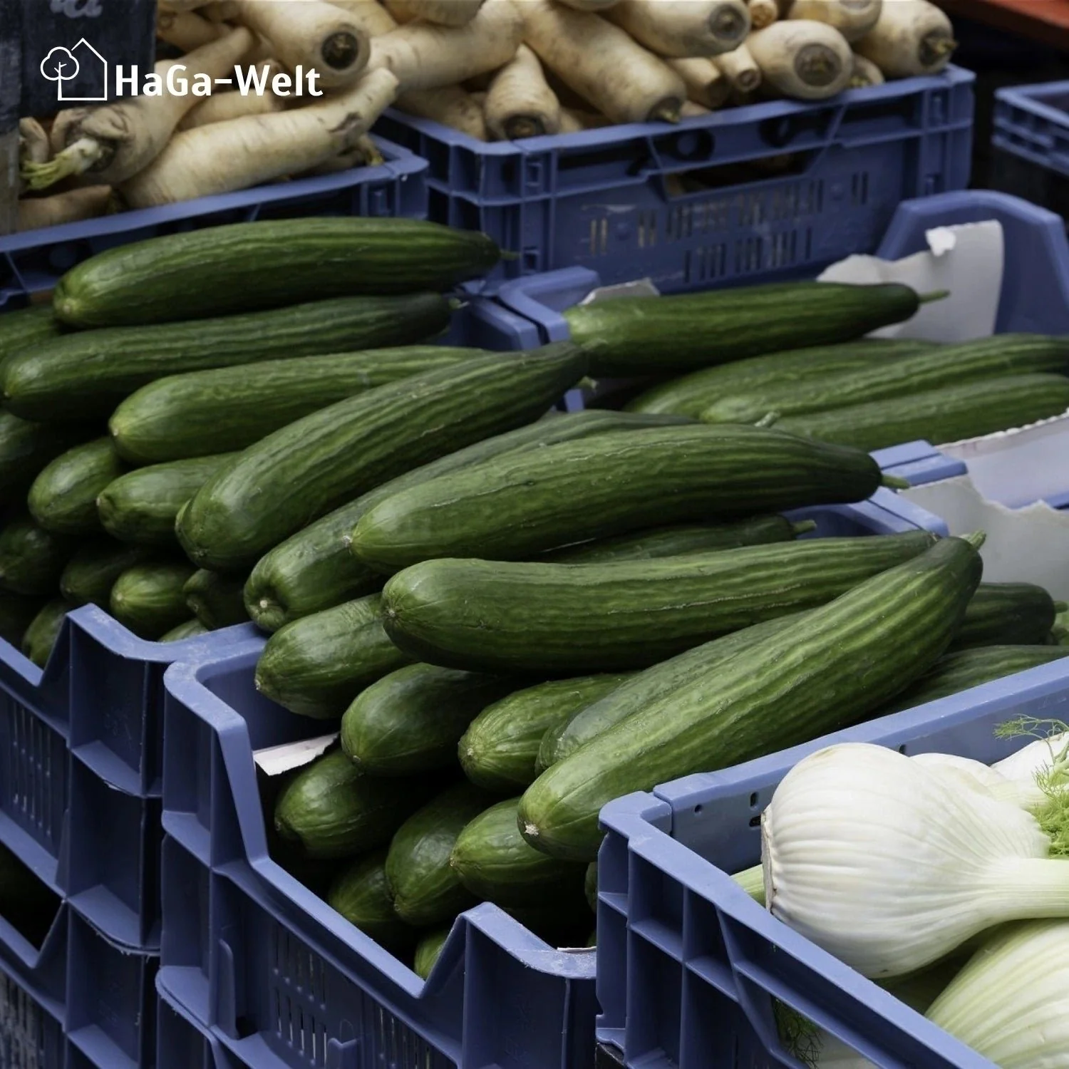 Obstkiste – Lagerung für Lebensmittel und Gegenstände - Image 9