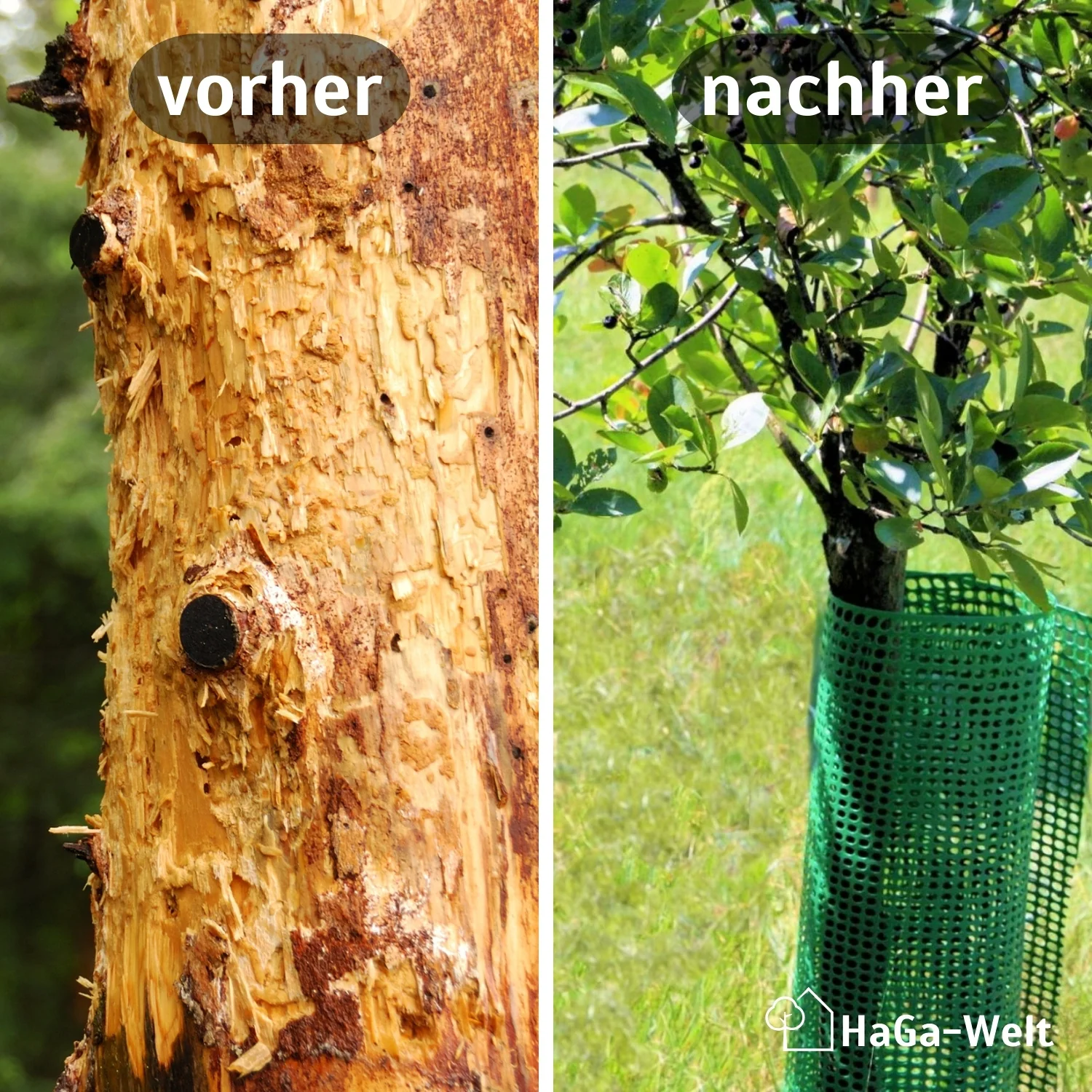 Baumschutzgitter – extra starker Verbissschutz zum Baumschutz - Image 3