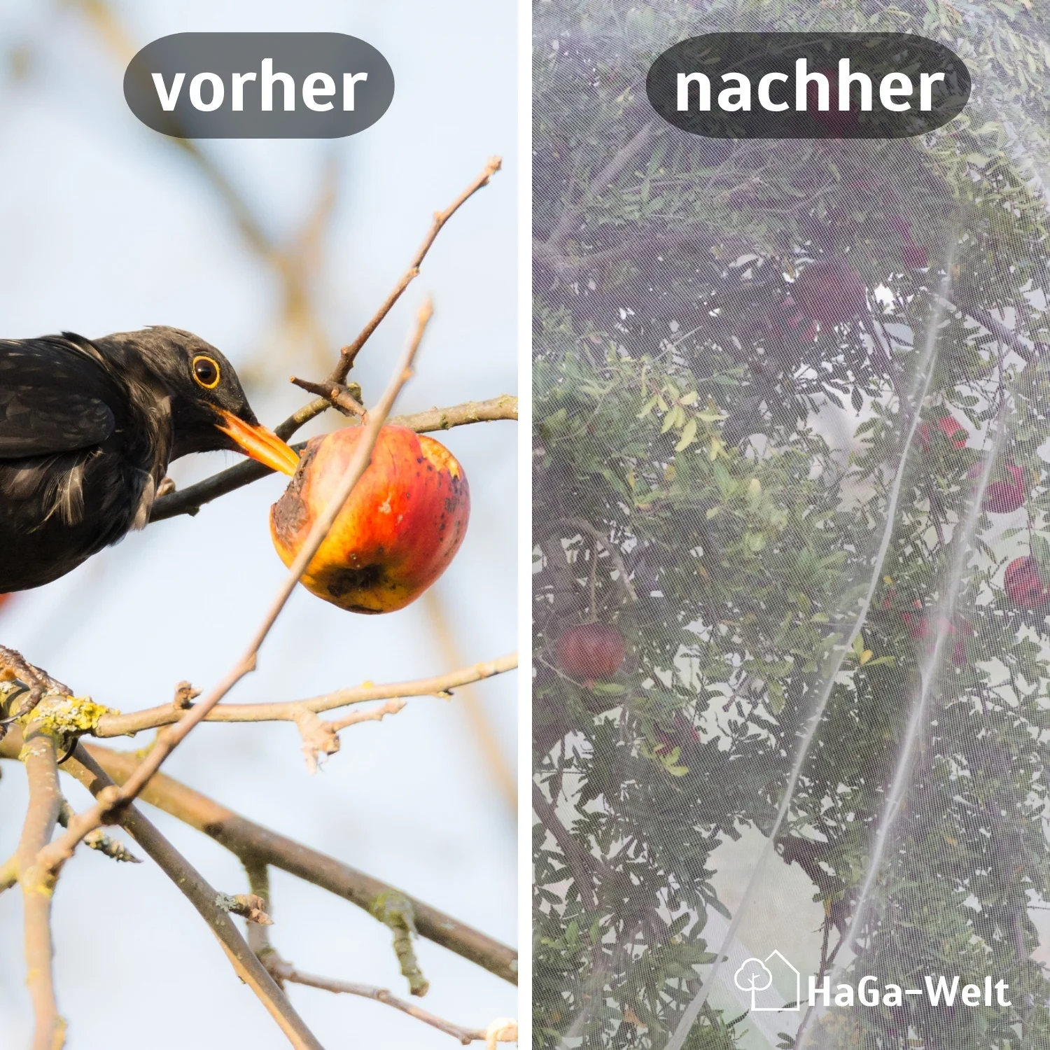 Premium Insekten- und Vogelschutznetz (Meterware), weiß in 200cm Breite - Image 3