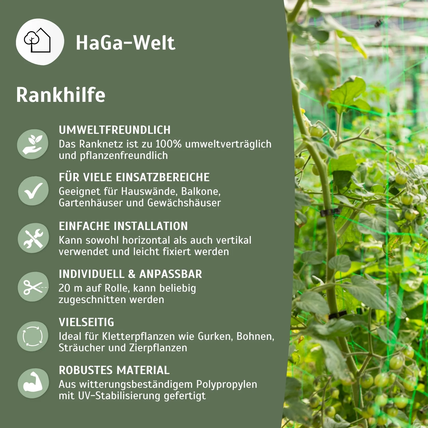 Ranknetz – Ideal für Gurken, Bohnen und Kletterpflanzen - Image 4