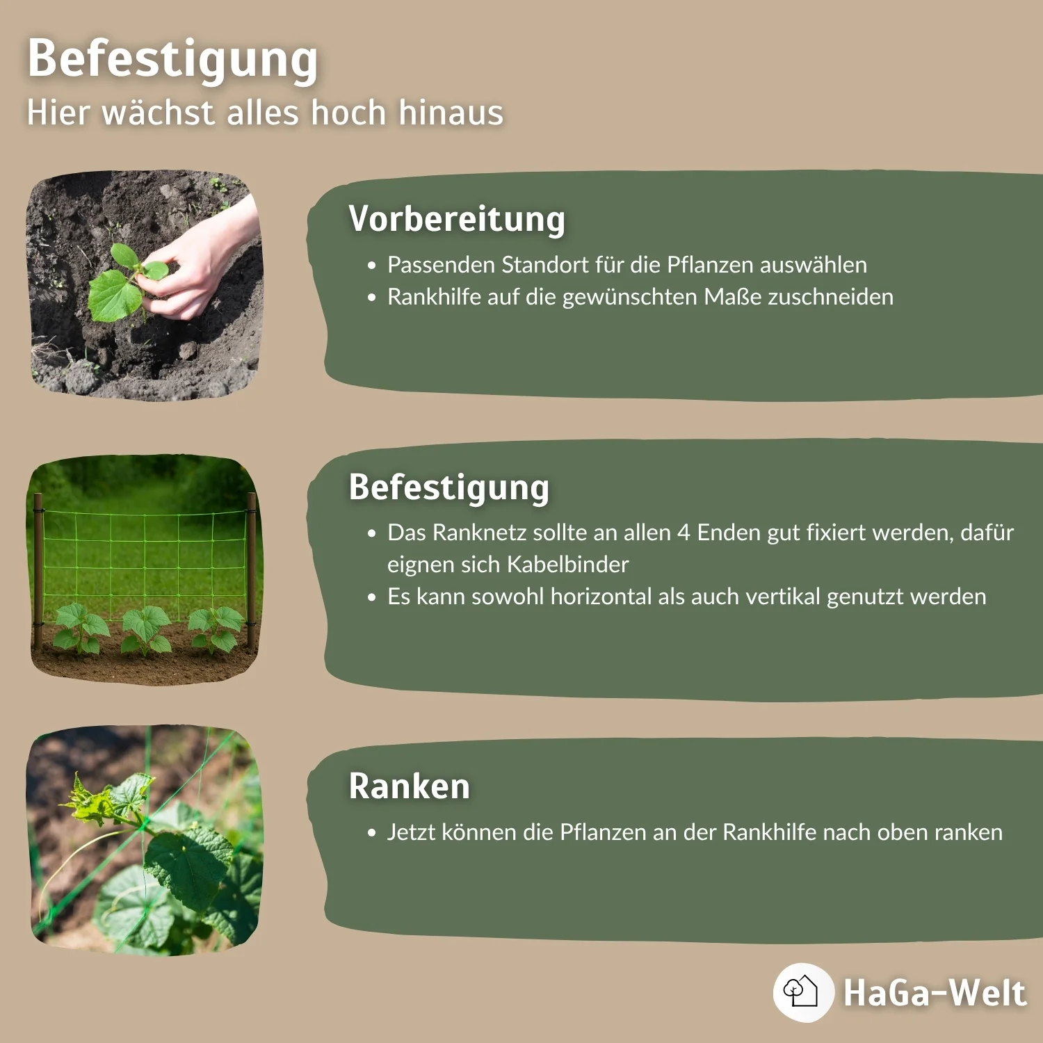 Ranknetz – Ideal für Gurken, Bohnen und Kletterpflanzen - Image 6