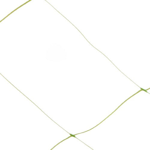 Ranknetz – Ideal für Gurken, Bohnen und Kletterpflanzen - Image 7