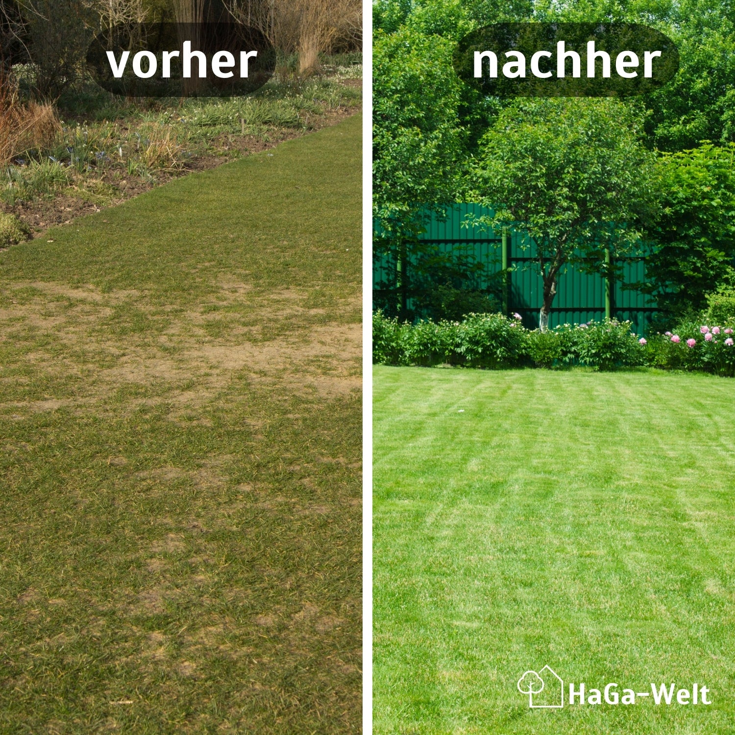 Rasenmatte – schneller Weg zu schönem Rasen - Image 3