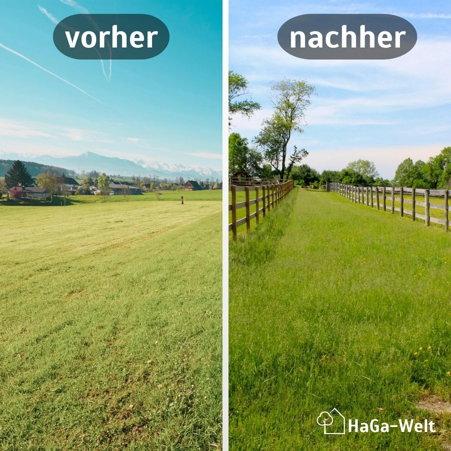 Holzpfosten, KDI-braun – Zaunpfosten für Ihren Gartenzaun - Image 3
