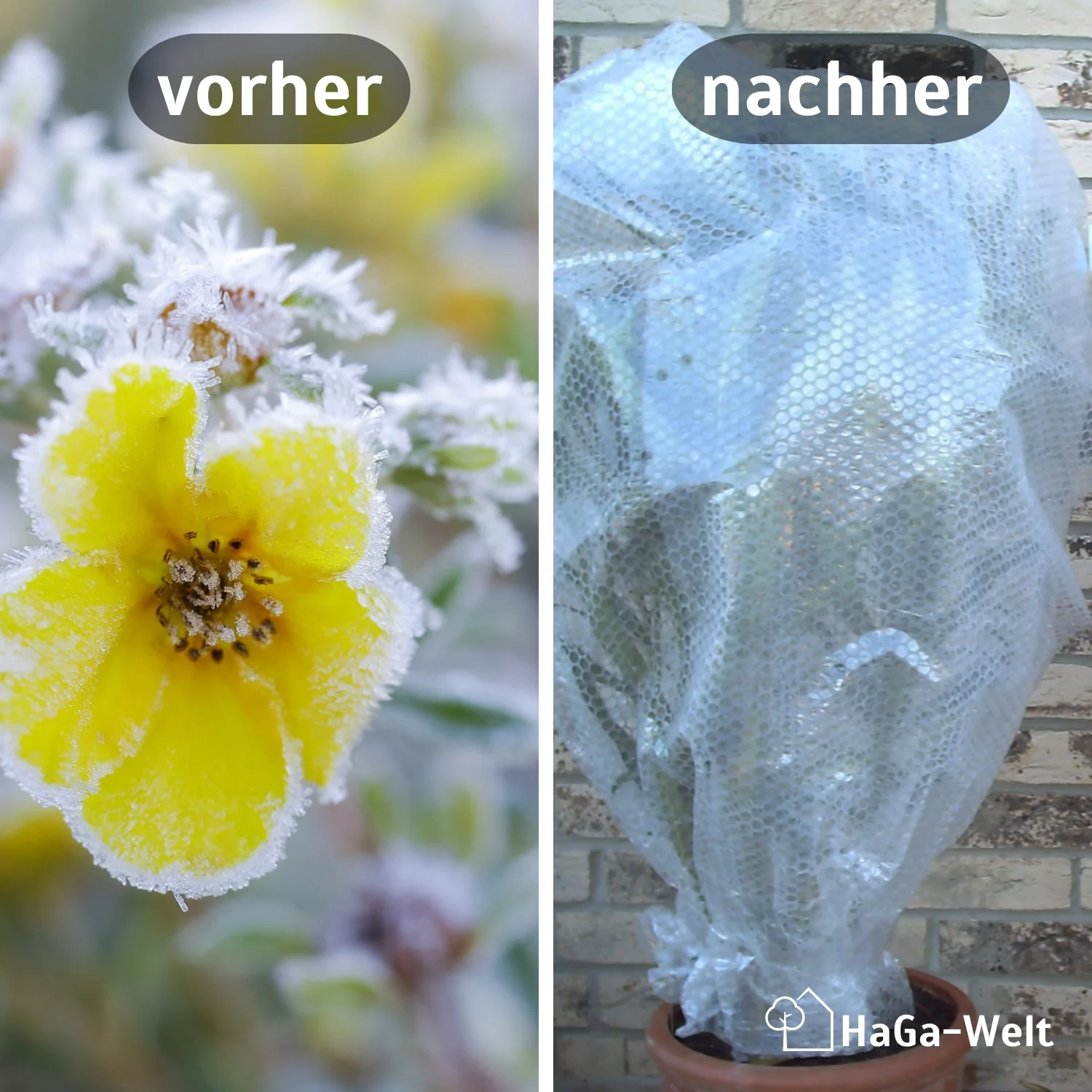 Thermofolie, mit Luftpolster – isolierender Pflanzenschutz - Image 3