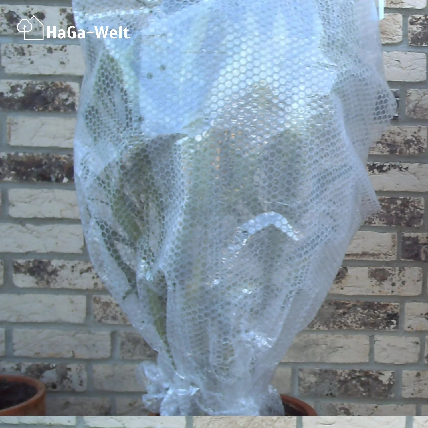 Thermofolie, mit Luftpolster – isolierender Pflanzenschutz - Image 9