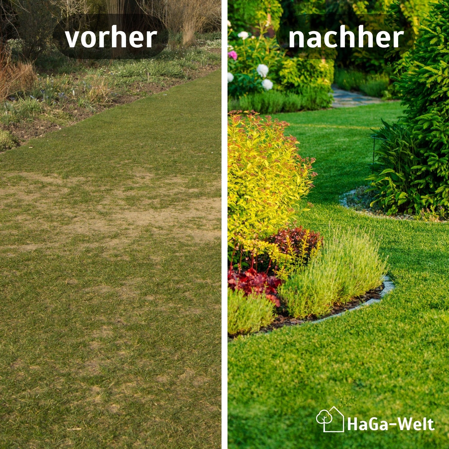 Universaldünger - Der Alleskönner unter den Düngern - Image 3